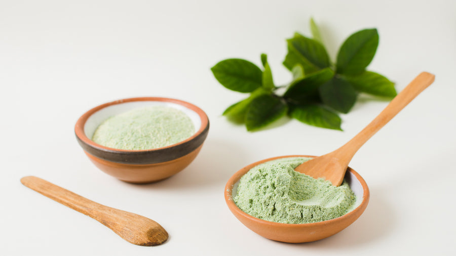 Exploring Natural Powders For Digestive Wellness And Microbiome Balance
