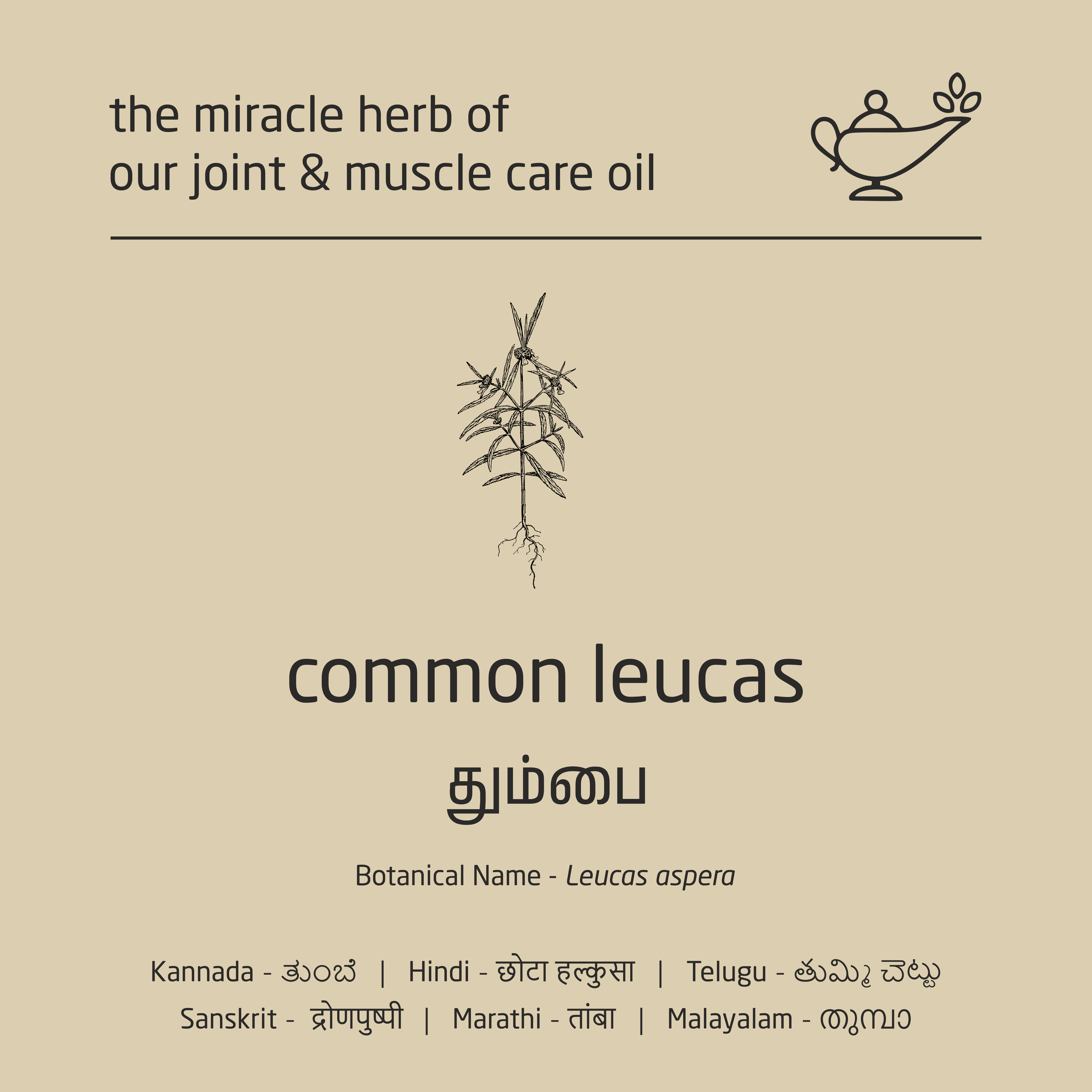 Feel Sattvic Premium Herbal Cold-Infused  Joint & Muscle Care Oil - 100ml