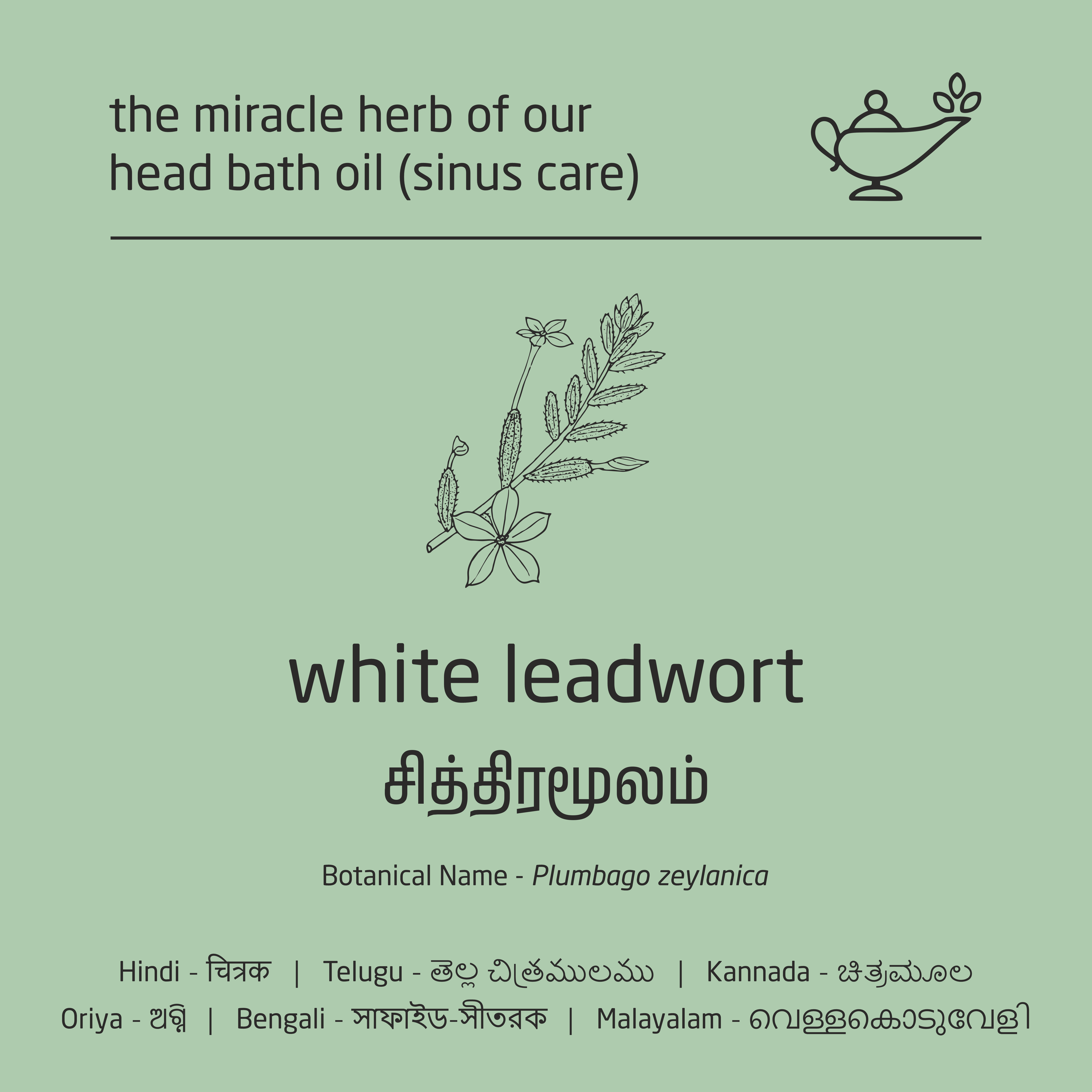 Feel Sattvic  Premium Herbal Cold-Infused  Head Bath Oil (Sinus Care) - 100ml