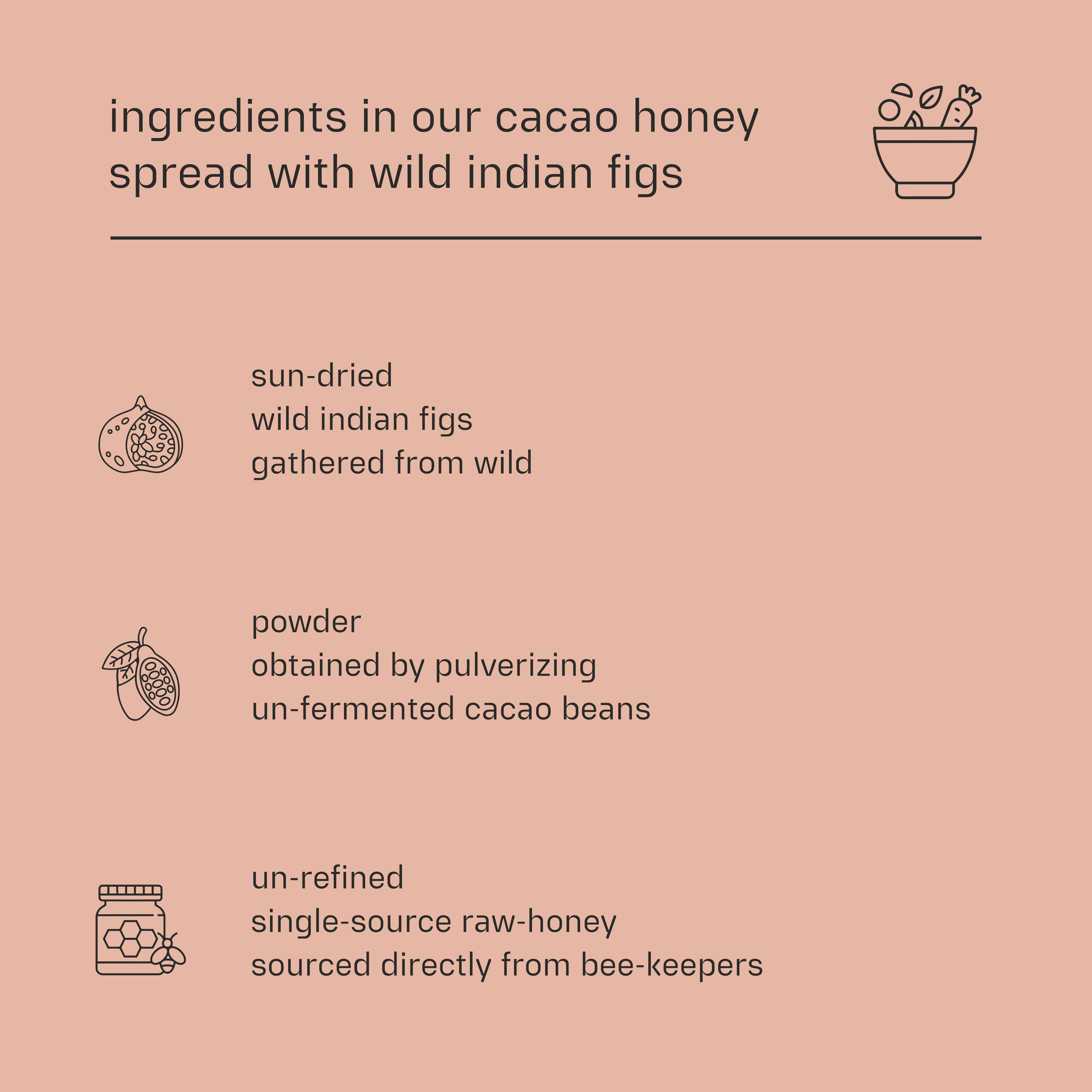 Dessy Figgy Premium Cold-Packed Cacao Honey Spread with Wild Indian Figs 250g