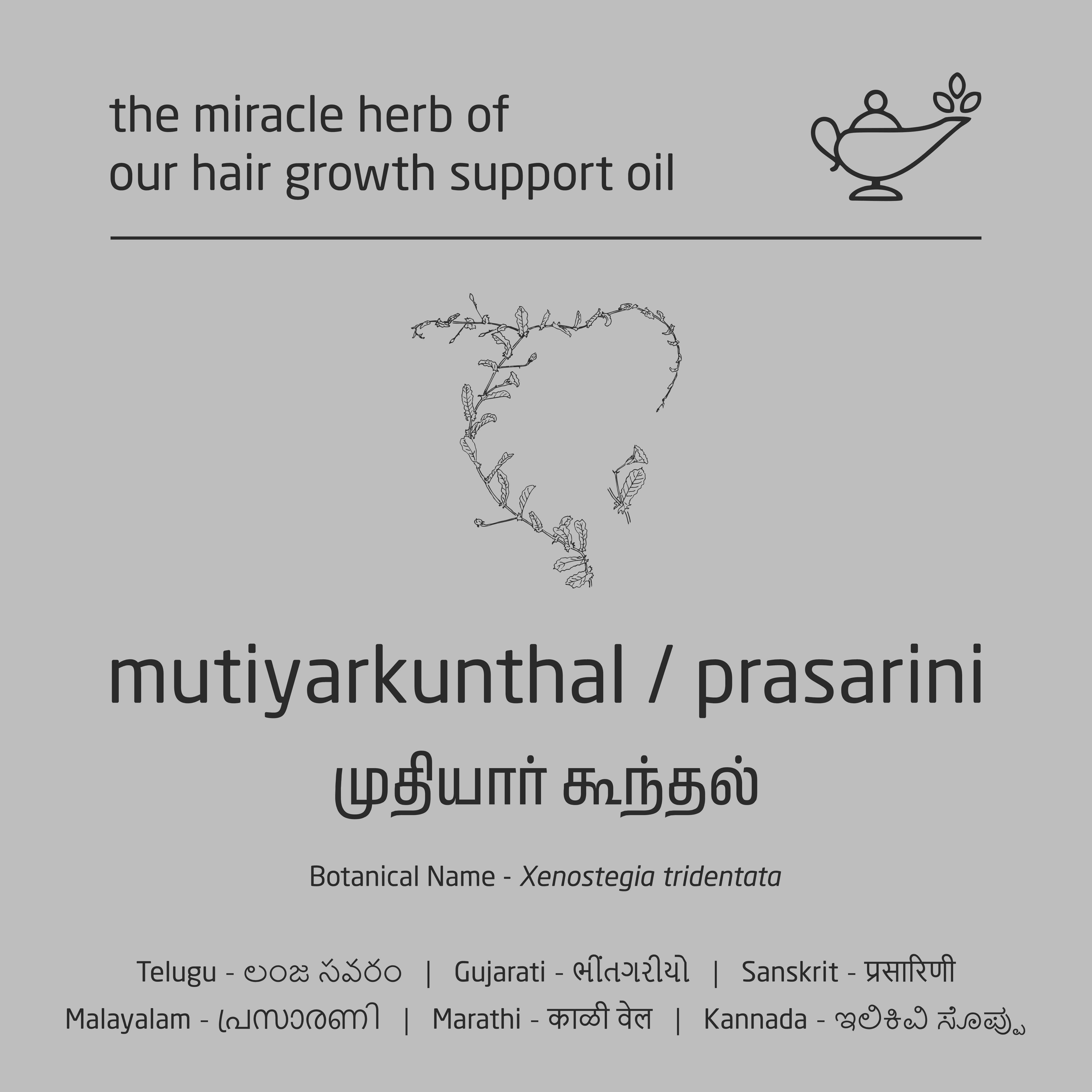 Feel Sattvic Premium Herbal Cold-Infused  Hair Growth Support Oil - 100ml