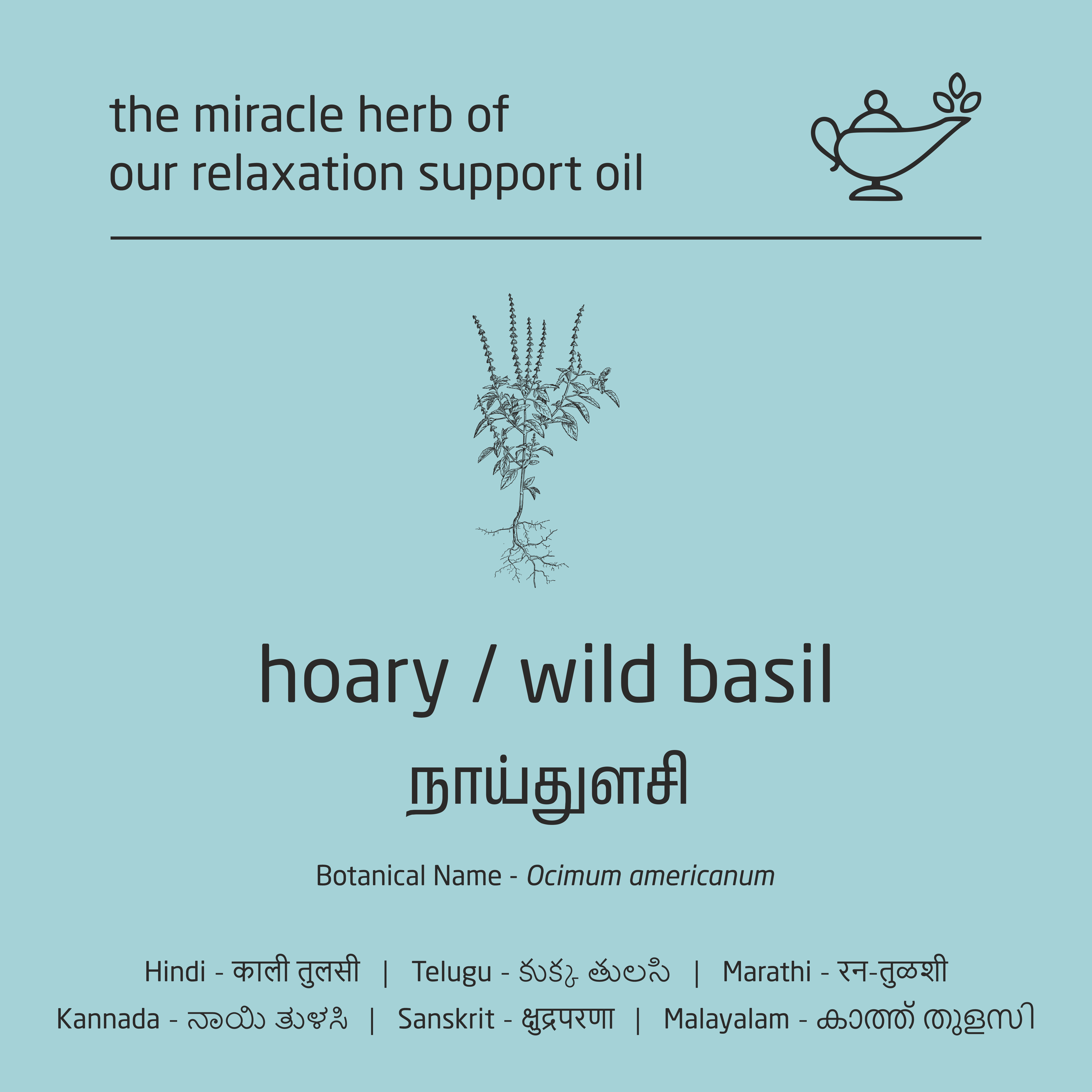 Feel Sattvic Premium Herbal Cold-Infused Relaxation Support Oil - 100ml