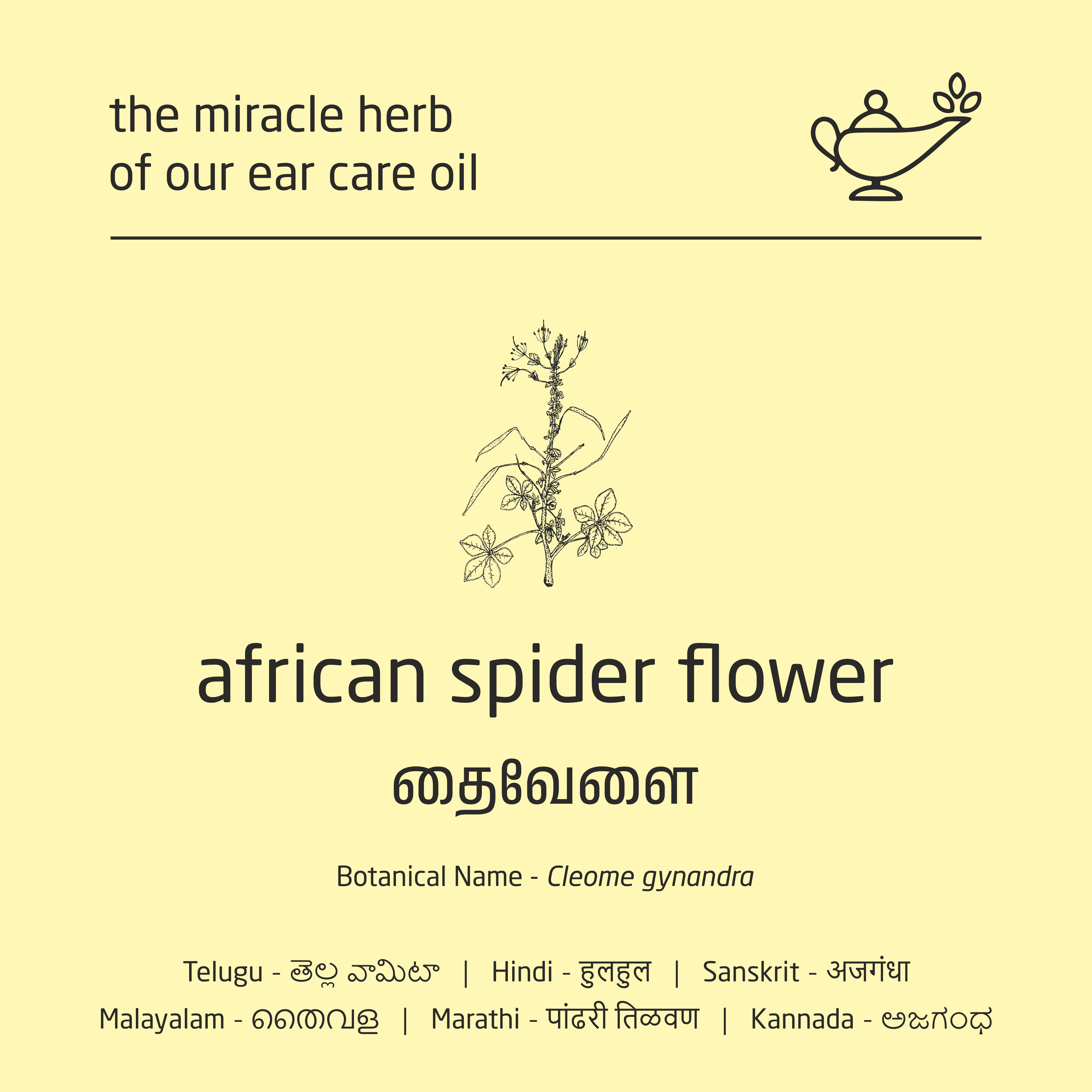 Feel Sattvic Premium Herbal Cold-Infused  Ear Care Oil - 100ml