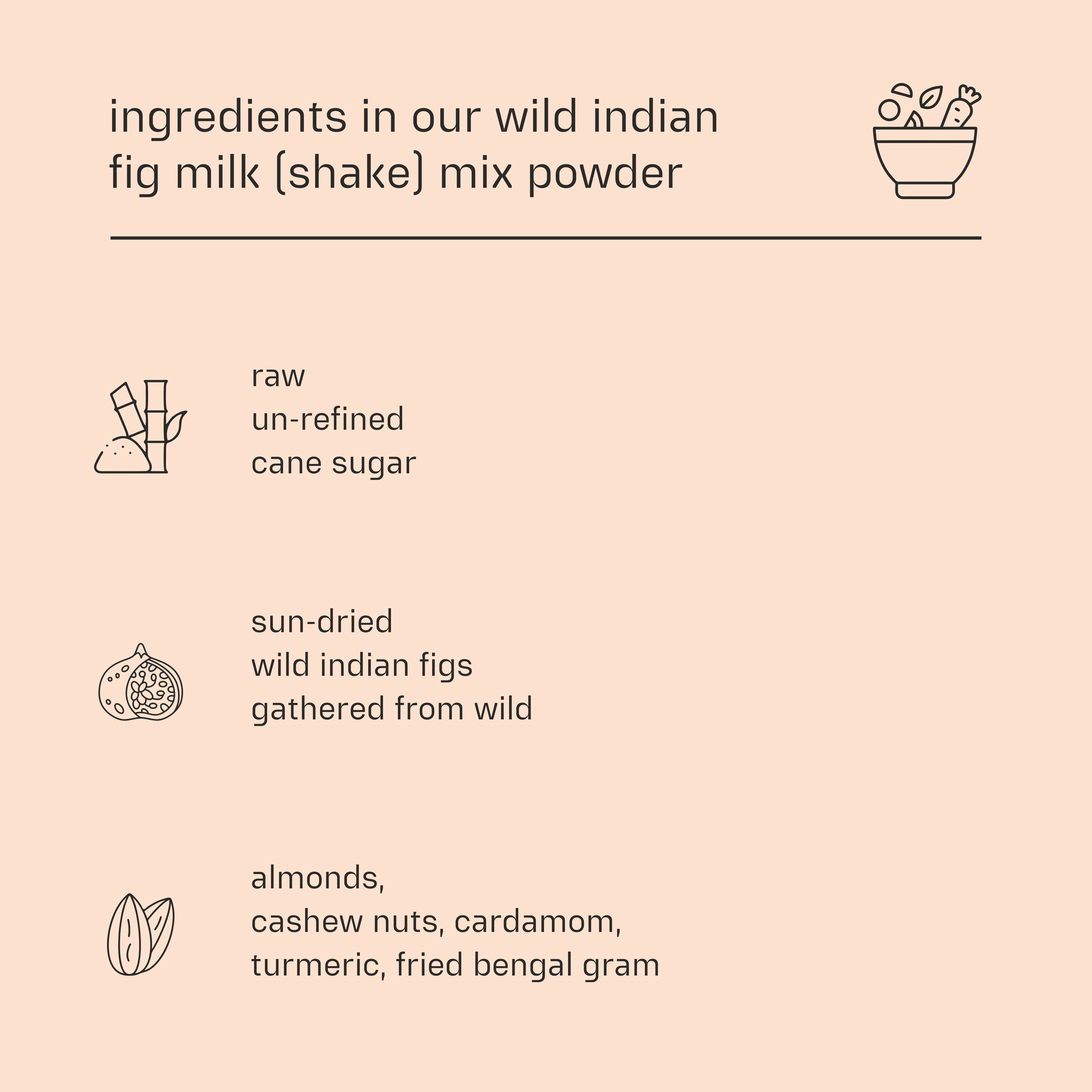 Dessy Figgy Premium Wild Indian Fig Milk (Shake) Mix Powder 250g