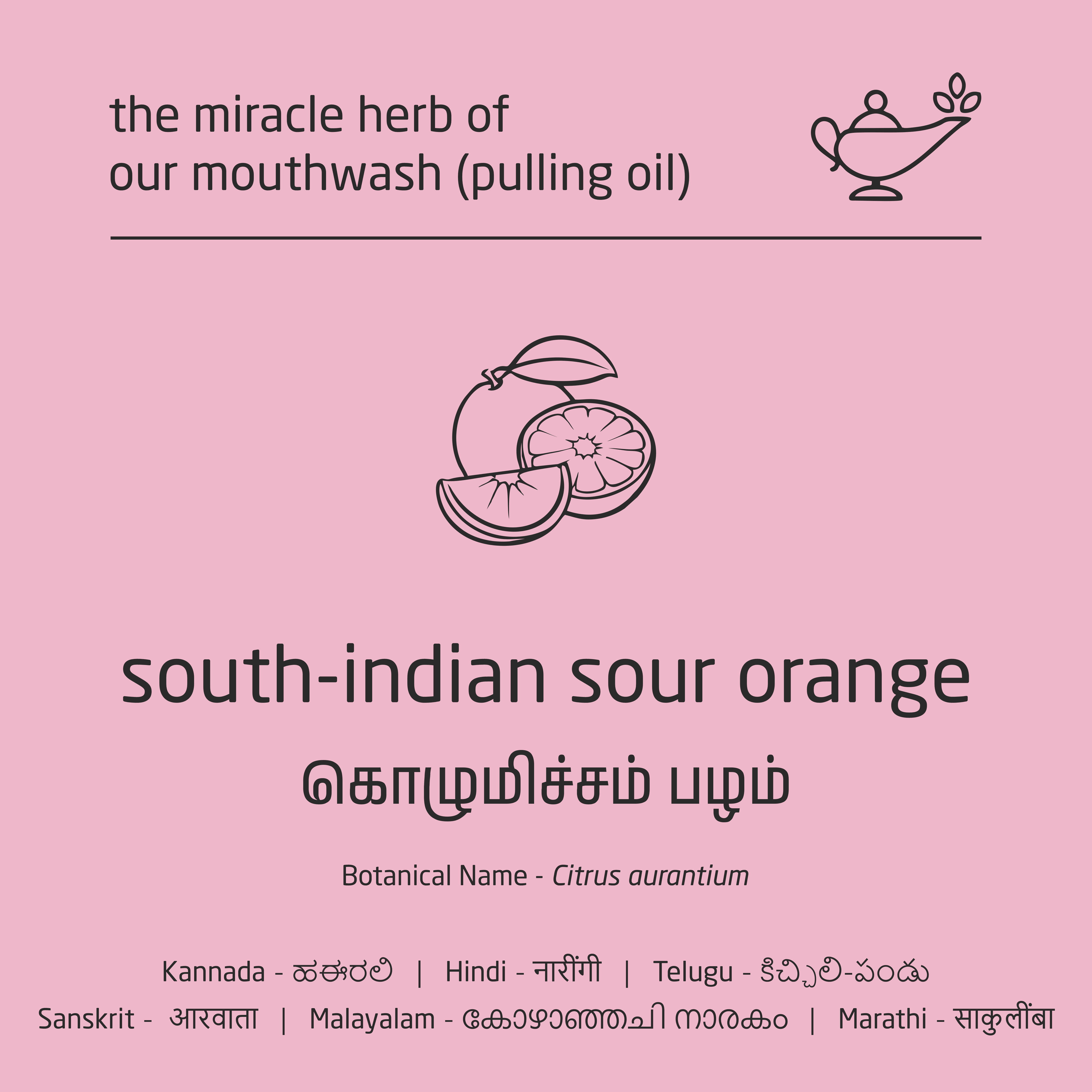 Feel Sattvic Premium Herbal Cold-Infused  Mouthwash (Pulling Oil) - 100ml