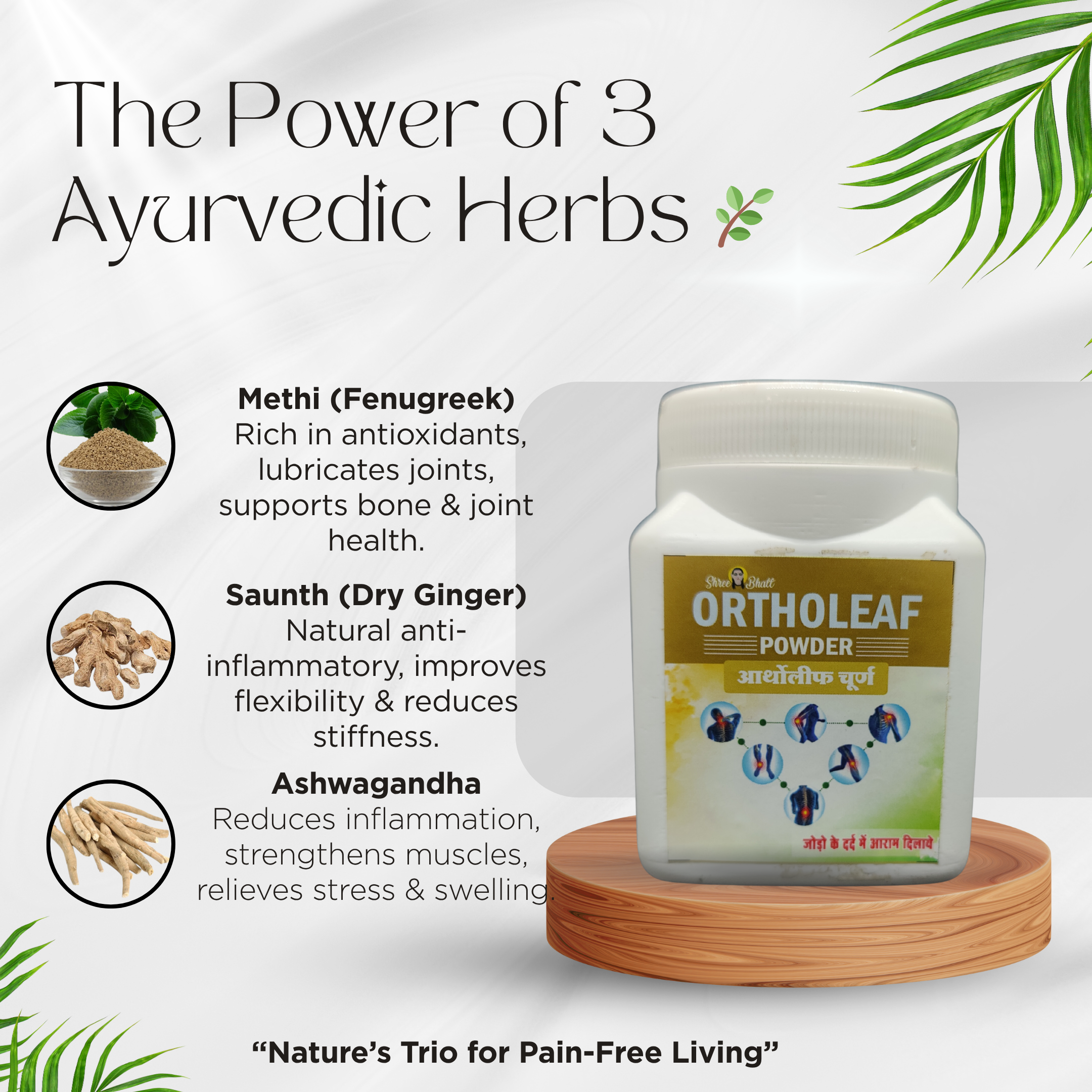 ShreeBhatt Ortholeaf Powder 100 Gm