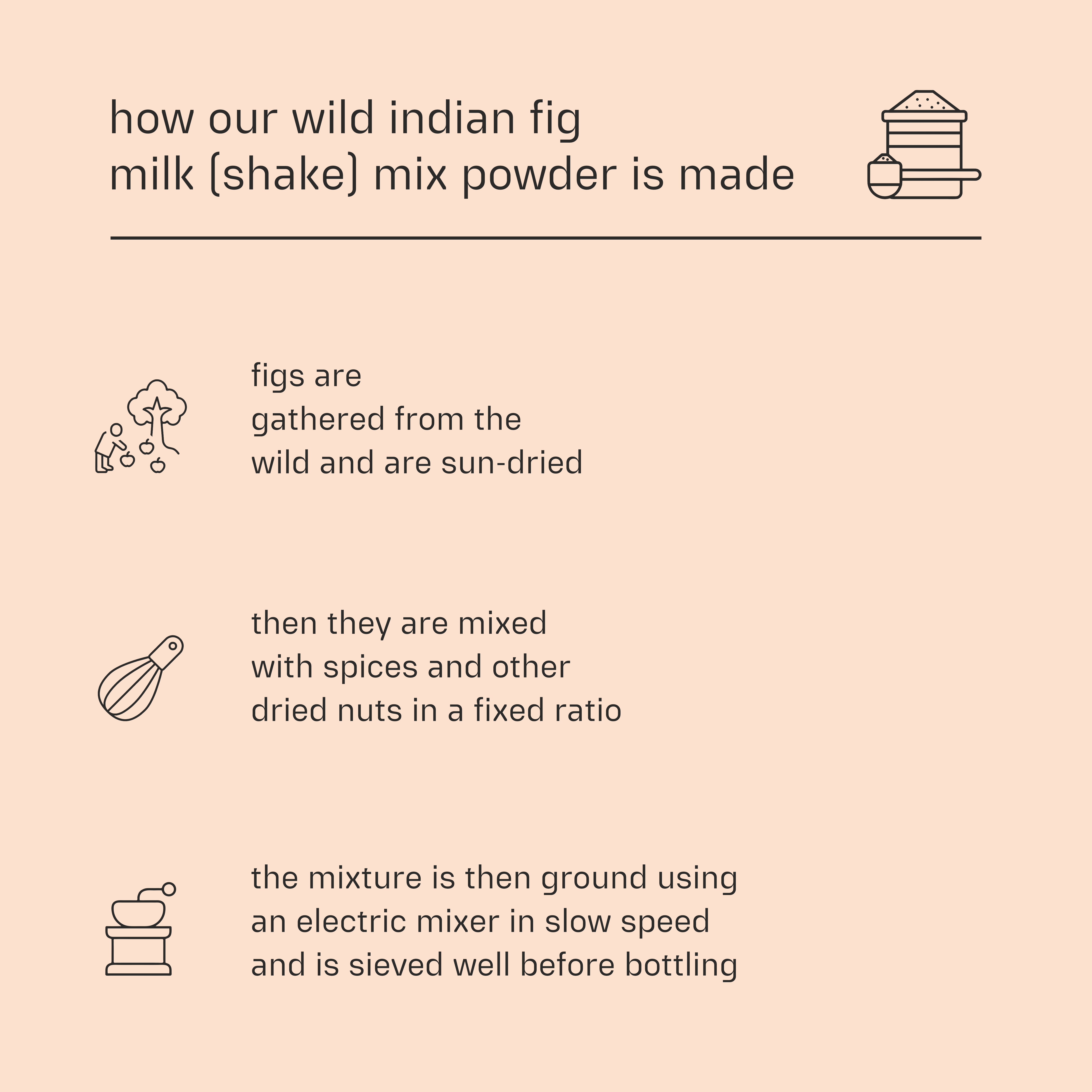 Dessy Figgy Premium Wild Indian Fig Milk (Shake) Mix Powder 250g