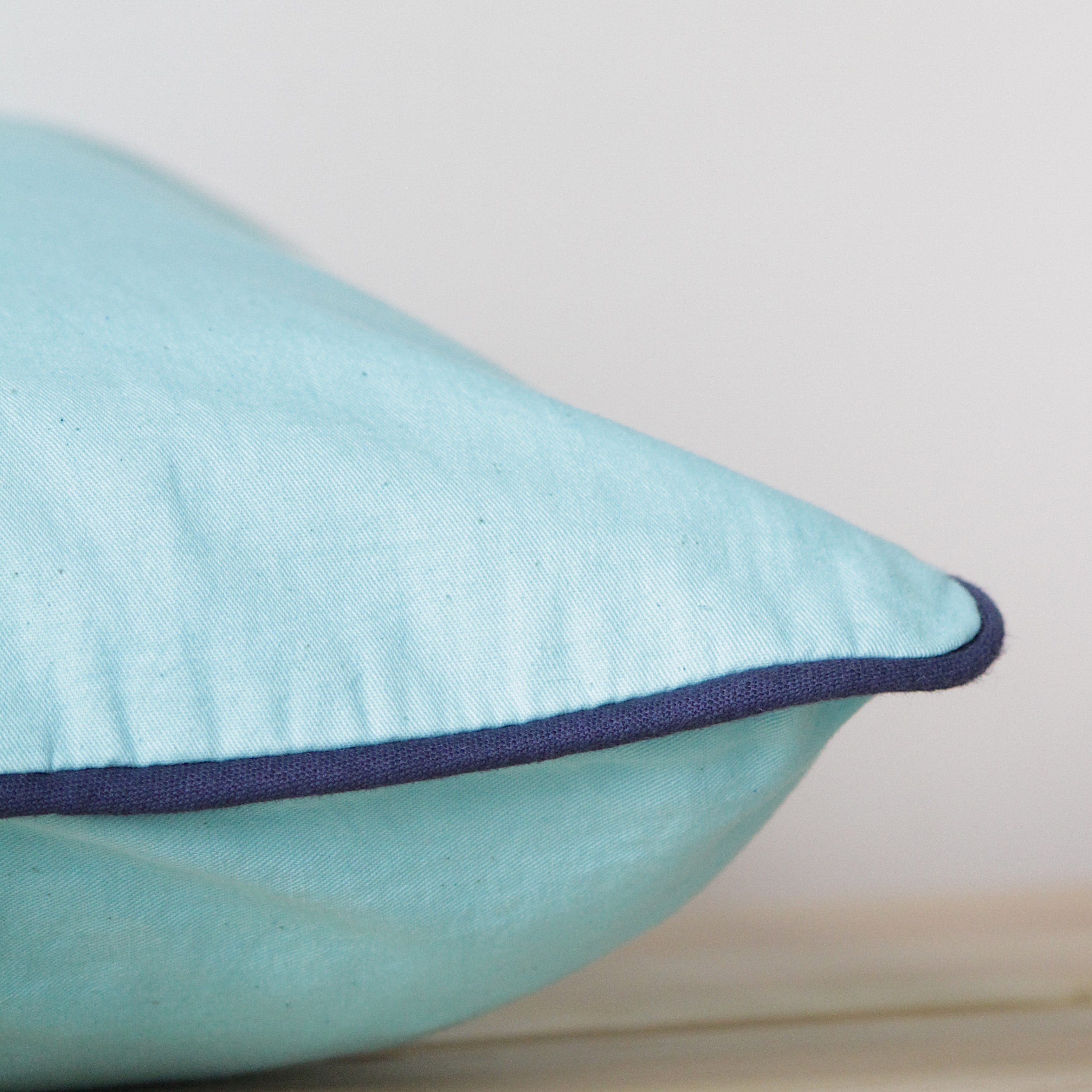 Rayden Habitat Sea Turtle (set of 2)