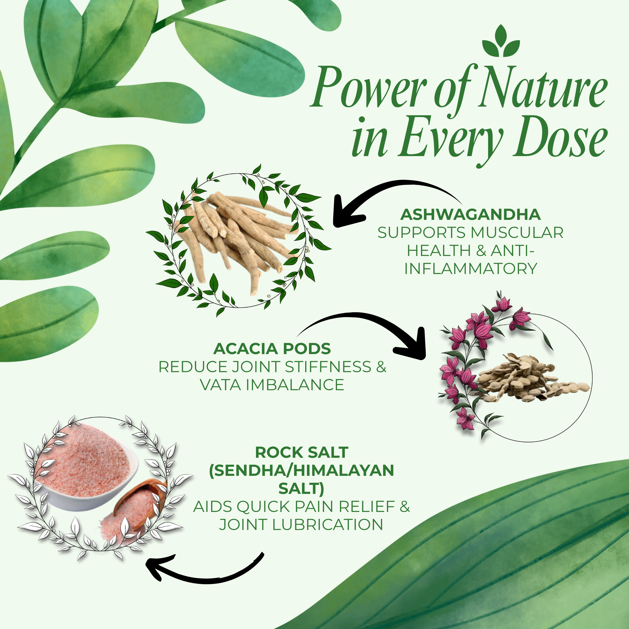 ShreeBhatt JP Special Powder 100 Gm