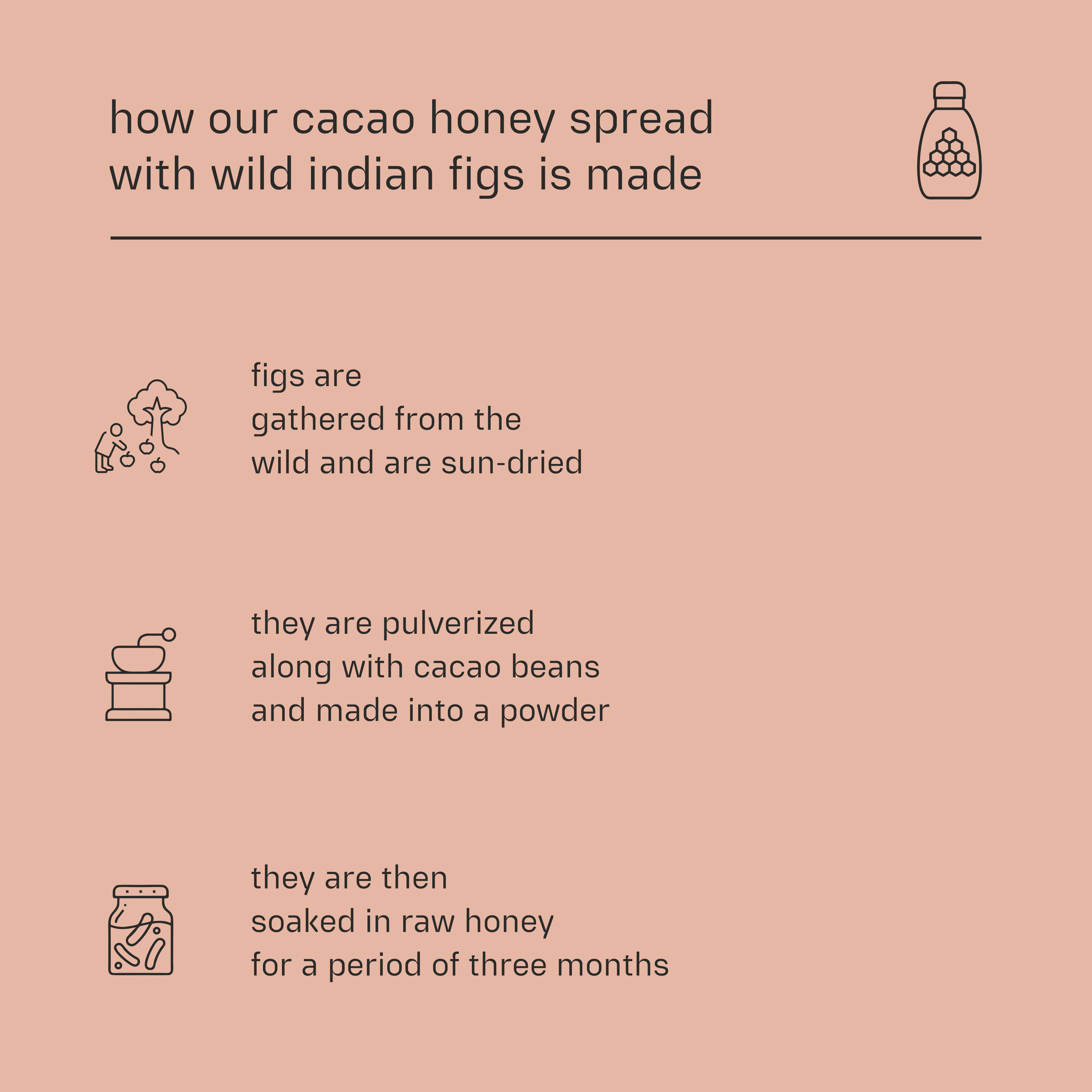 Dessy Figgy Premium Cold-Packed Cacao Honey Spread with Wild Indian Figs 250g