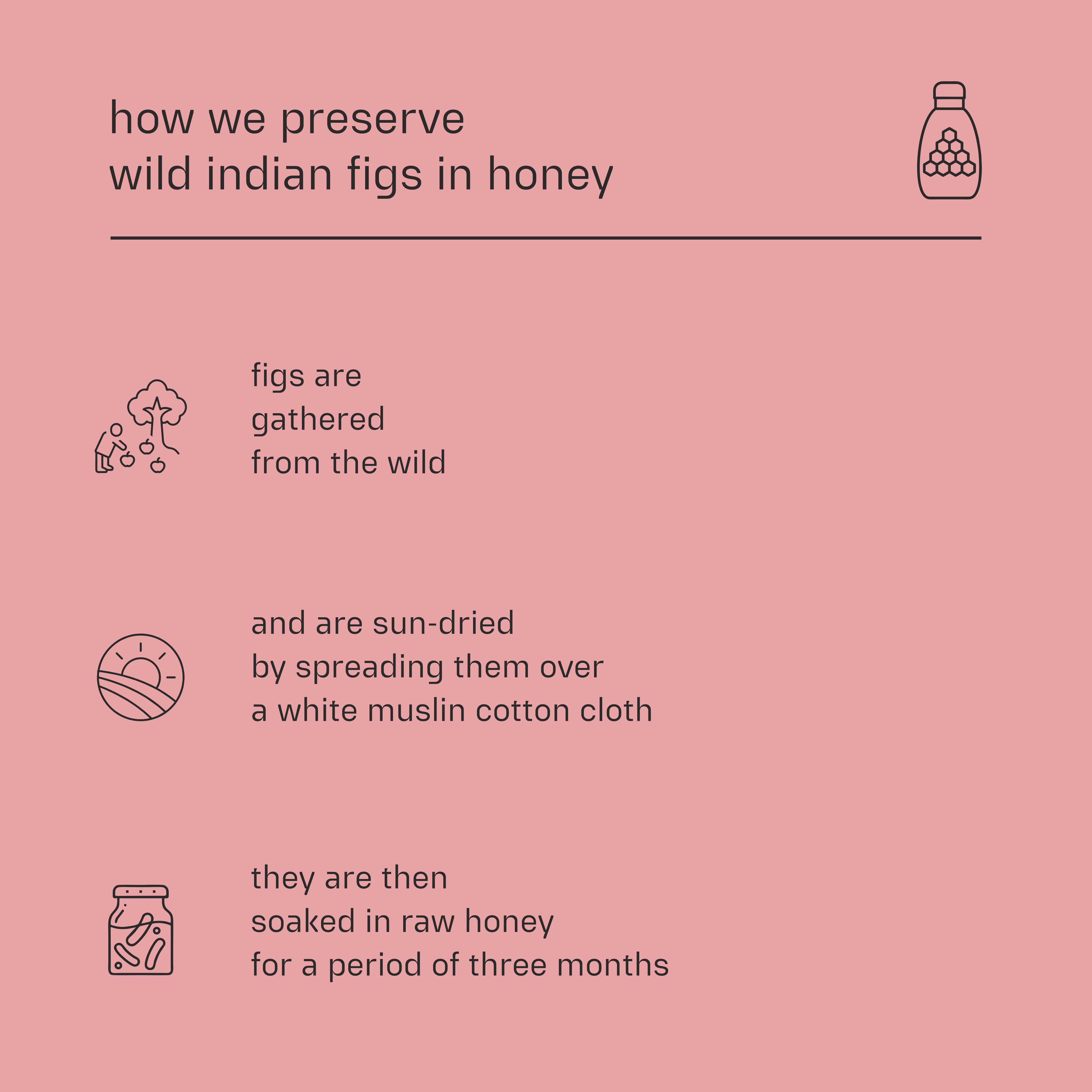 Dessy Figgy Premium Cold-Packed Wild Indian Figs Preserved in Honey 250g