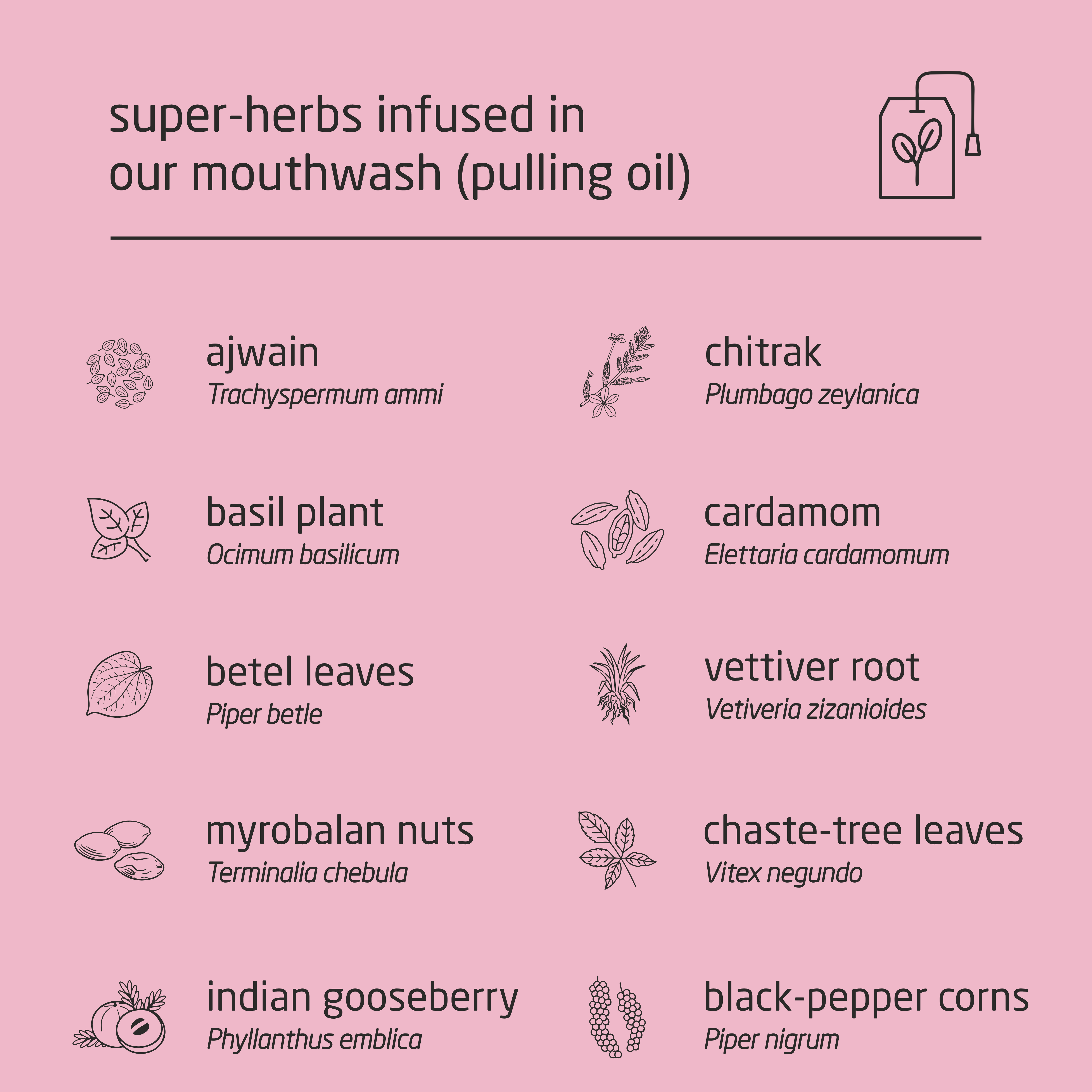 Feel Sattvic Premium Herbal Cold-Infused  Mouthwash (Pulling Oil) - 100ml