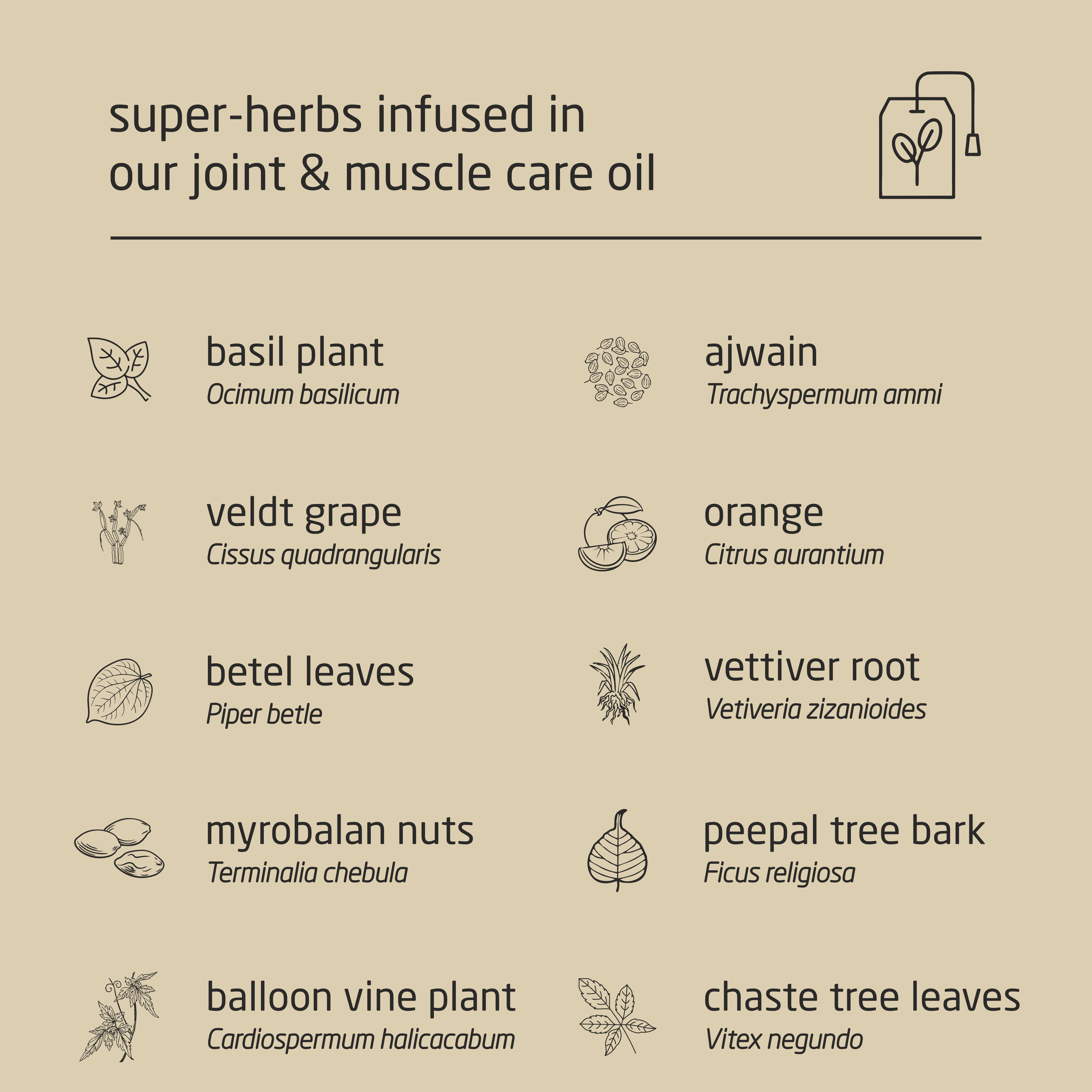 Feel Sattvic Premium Herbal Cold-Infused Joint & Muscle Care Oil - 100ml