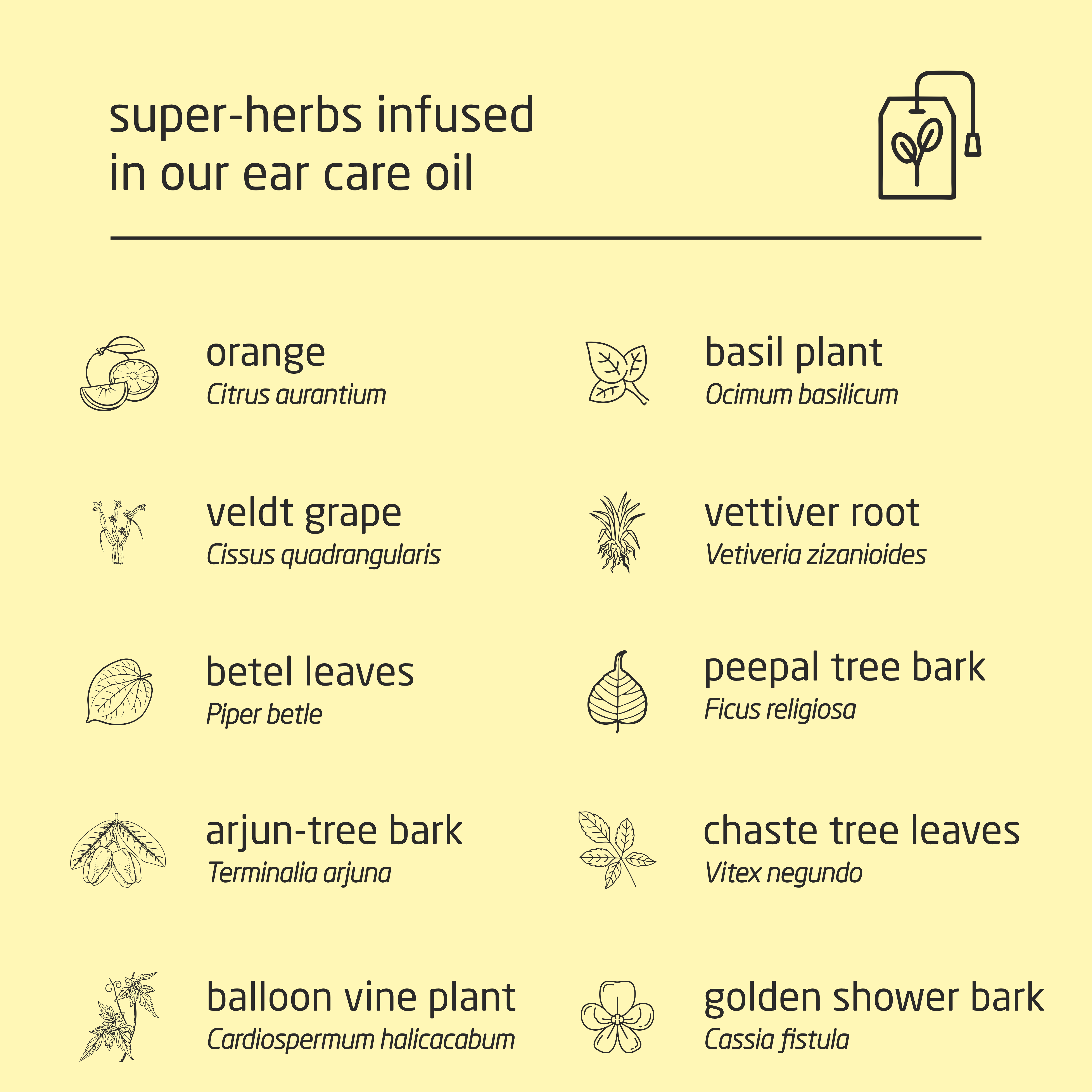 Feel Sattvic Premium Herbal Cold-Infused Ear Care Oil - 100ml