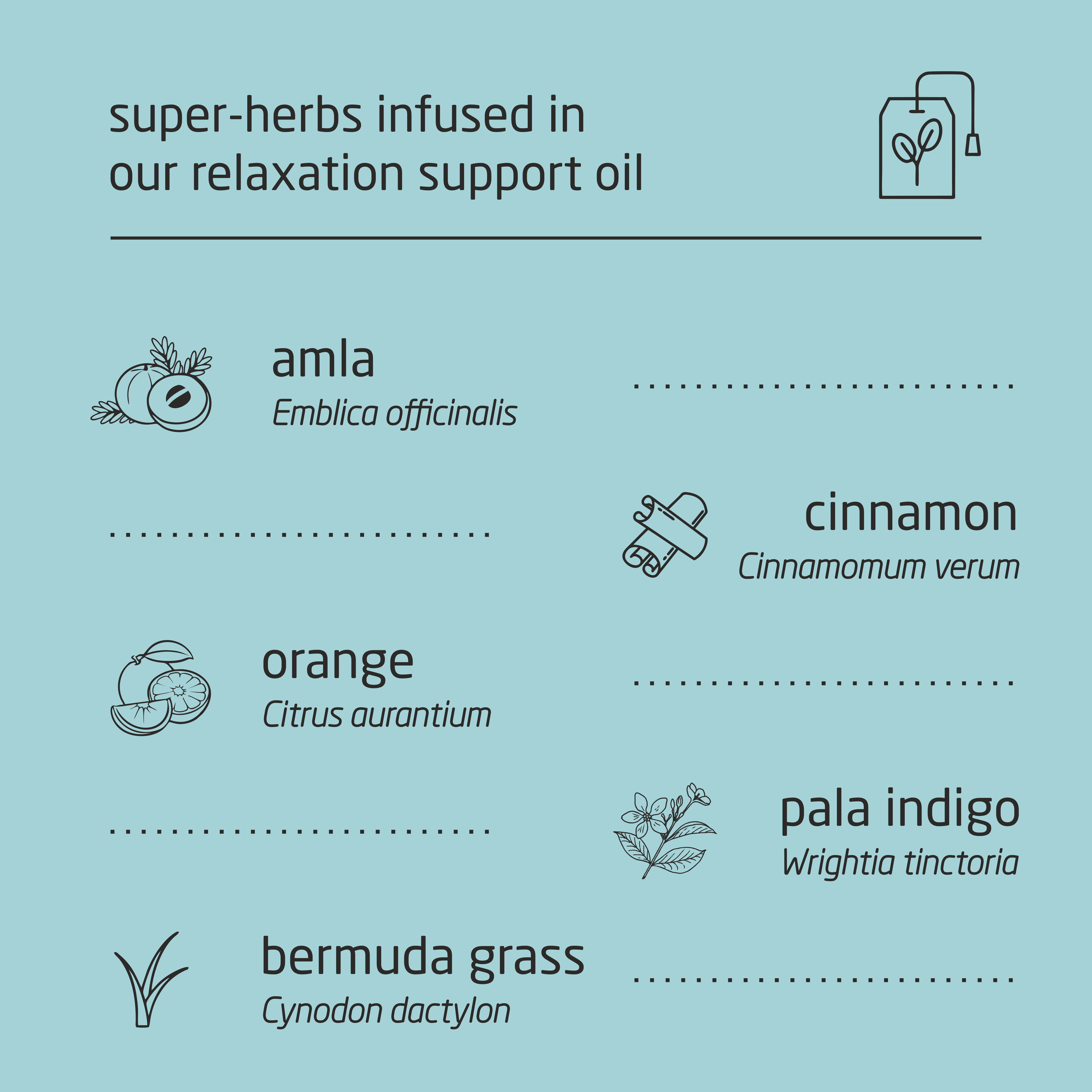 Feel Sattvic Premium Herbal Cold-Infused Relaxation Support Oil - 100ml