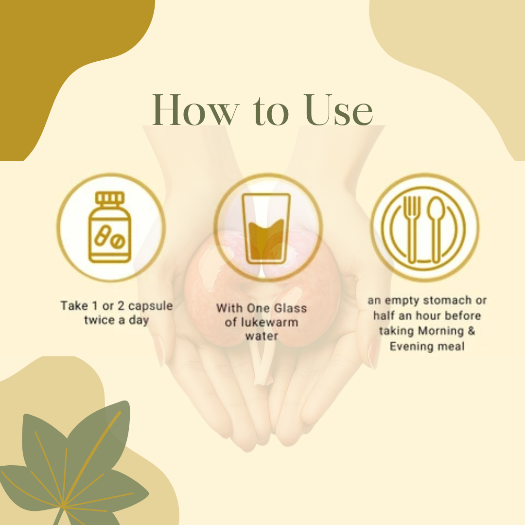 ShreeBhatt Ashmari Capsule 30 Capsules