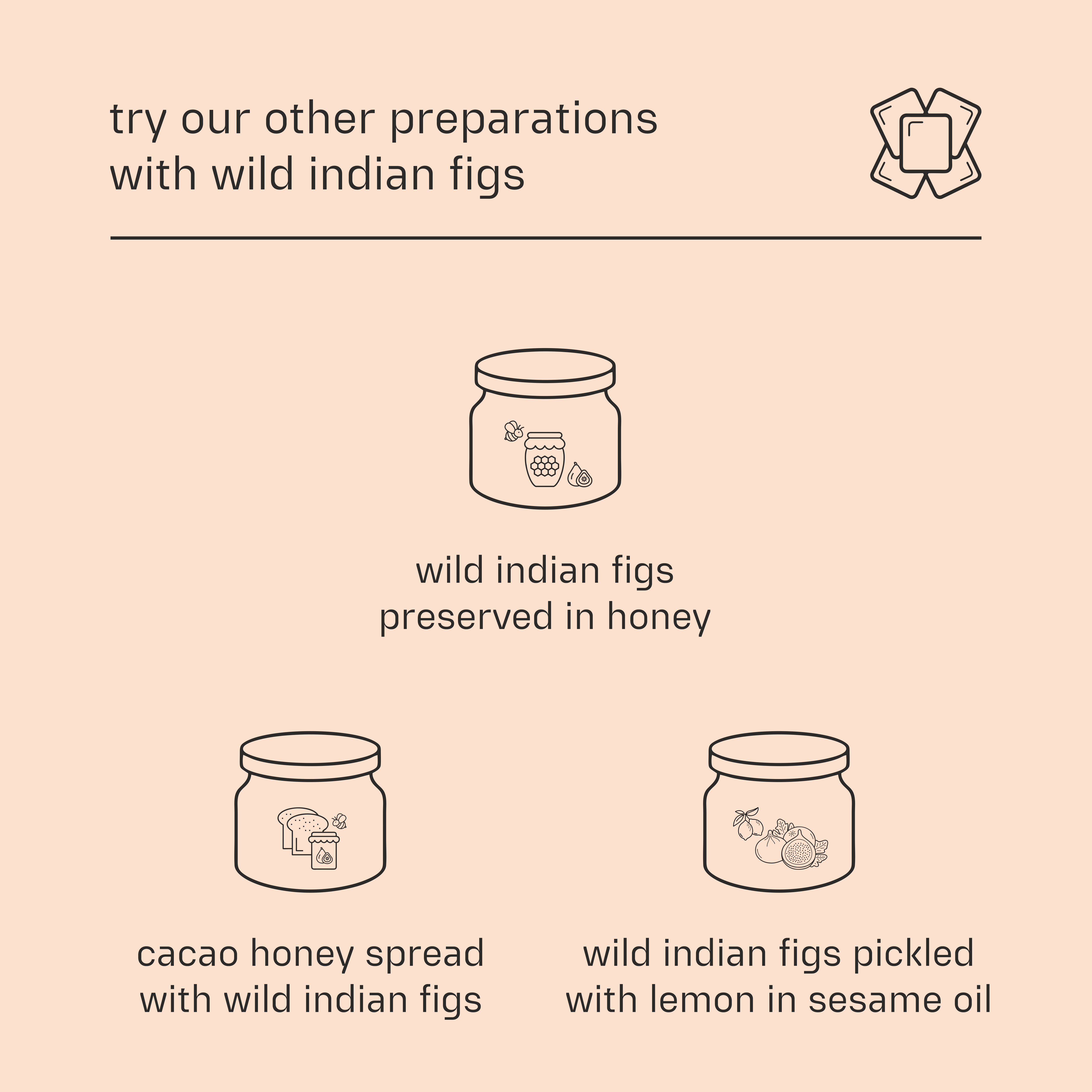 Dessy Figgy Premium Wild Indian Fig Milk (Shake) Mix Powder 250g