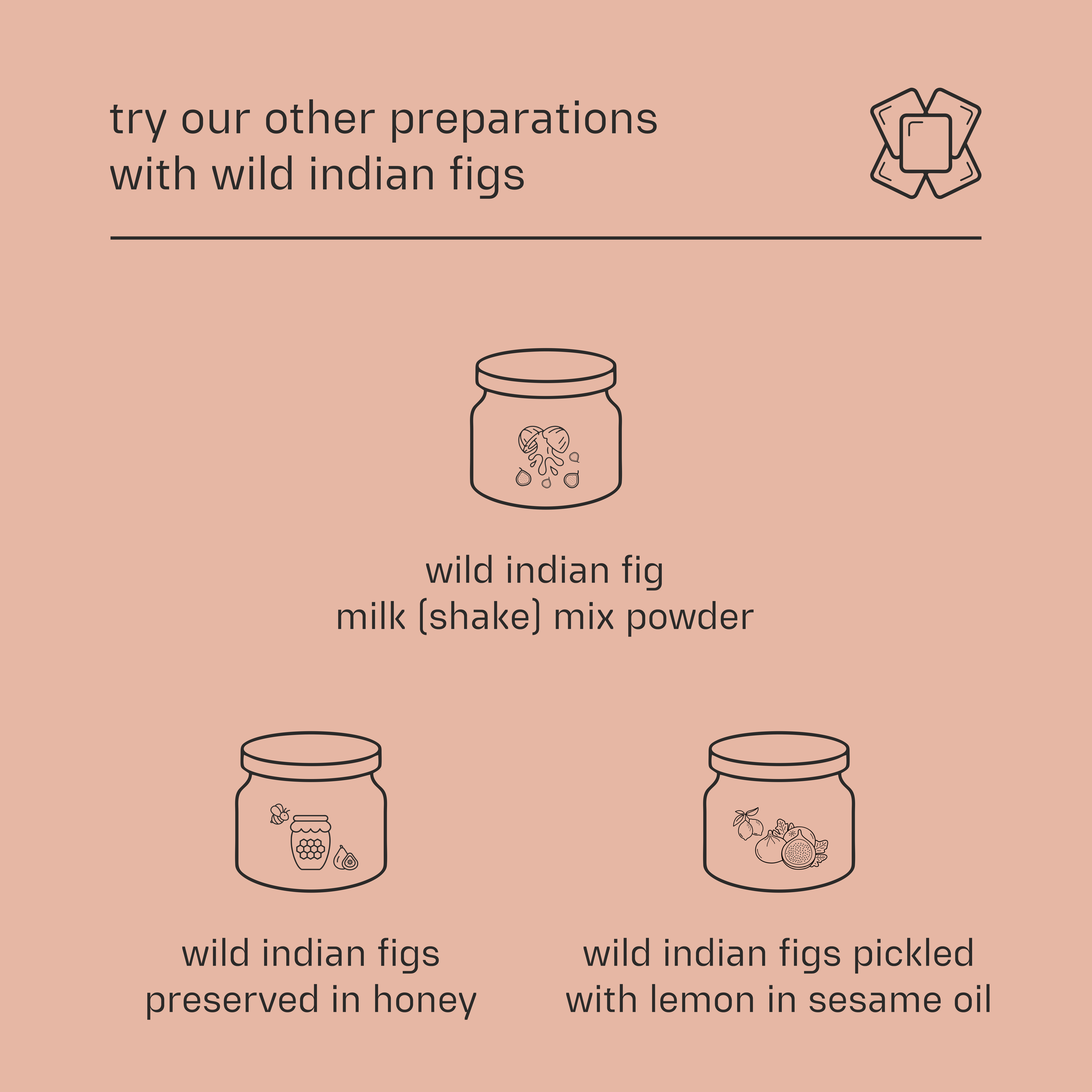 Dessy Figgy Premium Cold-Packed Cacao Honey Spread with Wild Indian Figs 250g