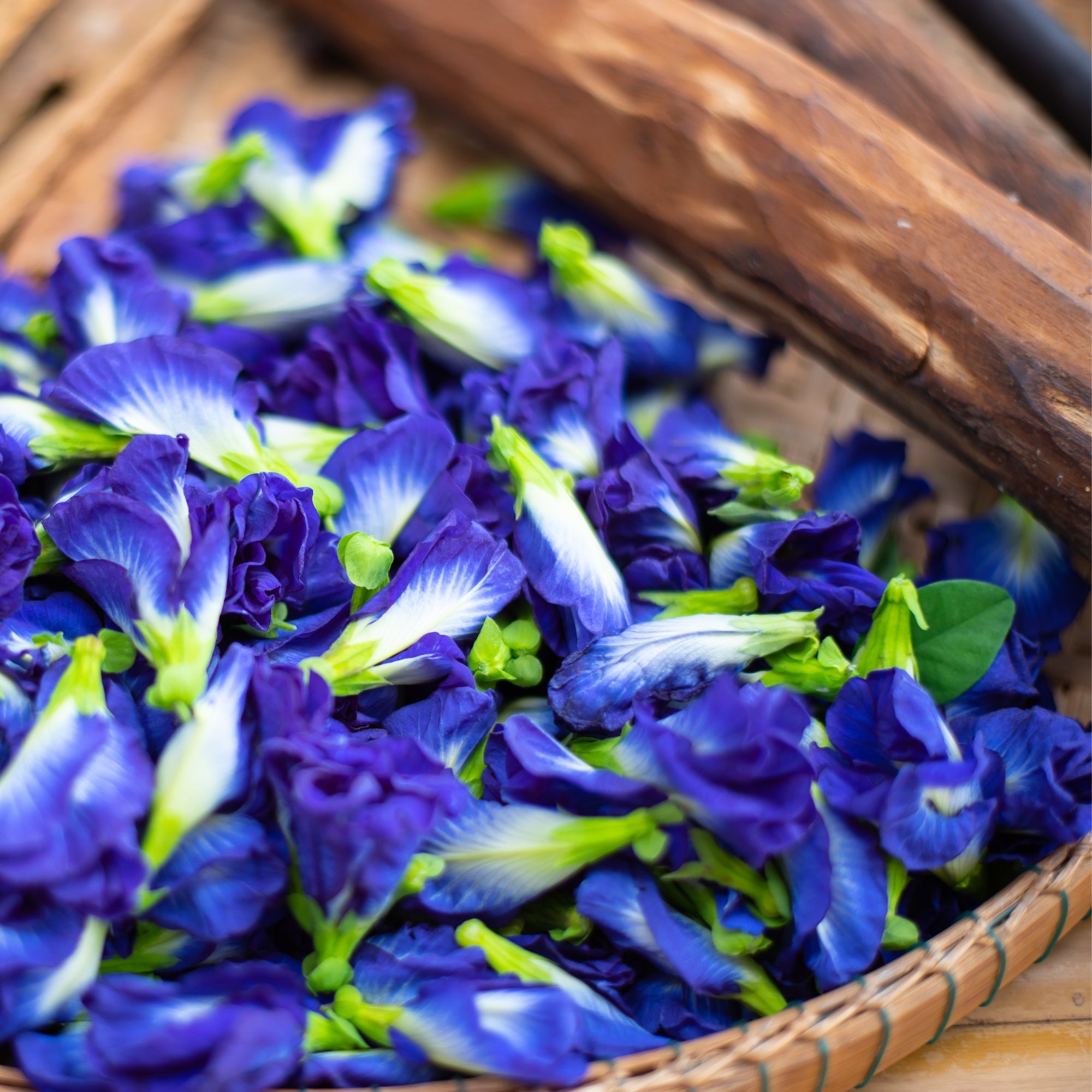 Flavours Avenue Butterfly Pea Iced-Tea Concentrate, 750ml