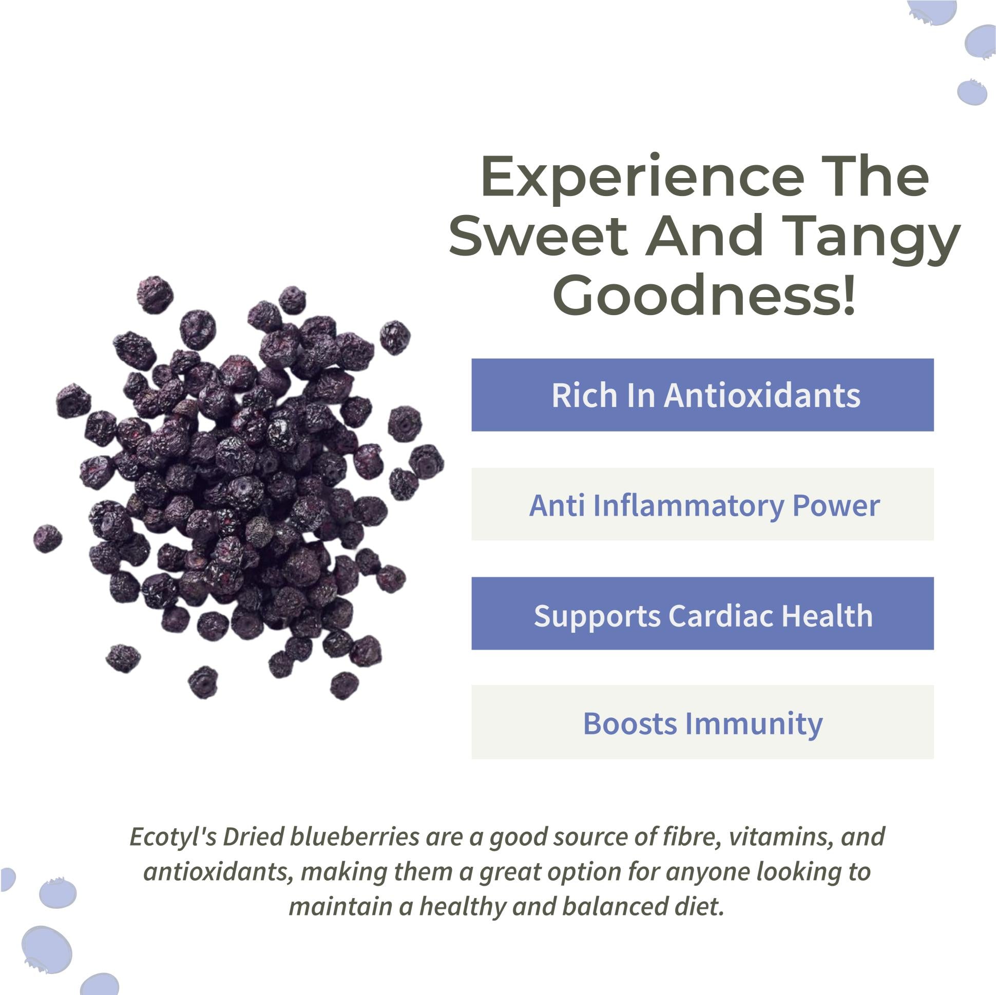 Ecotyl Dried Blueberries | Whole Dried Fruit | Healthy Snack |150g