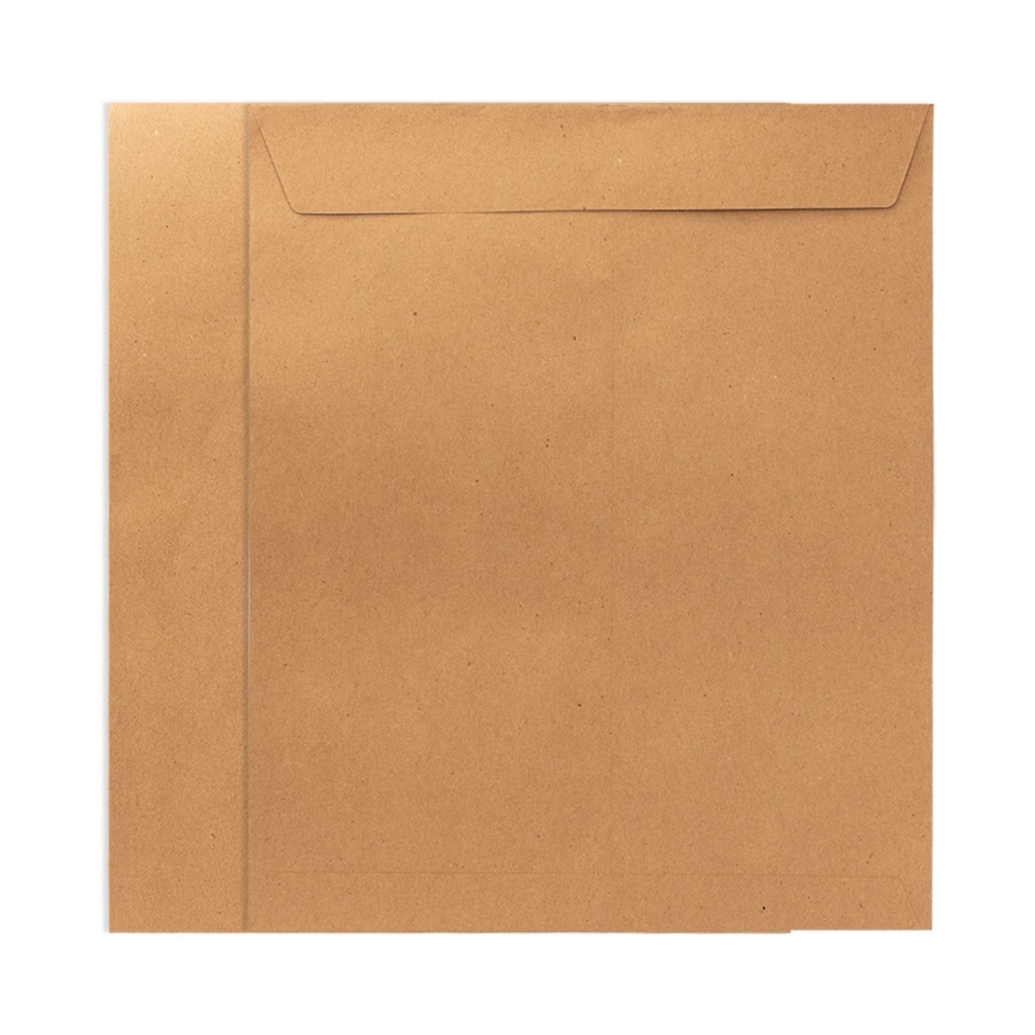 PackMate A4 Size Envelope | Made Using 100% Recycled Paper (Pack of 50 Envelope)