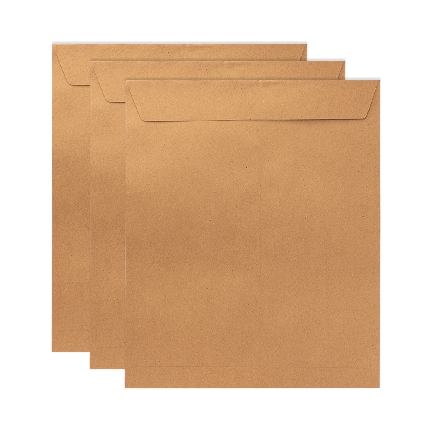 PackMate A4 Size Envelope | Made Using 100% Recycled Paper (Pack of 50 Envelope)