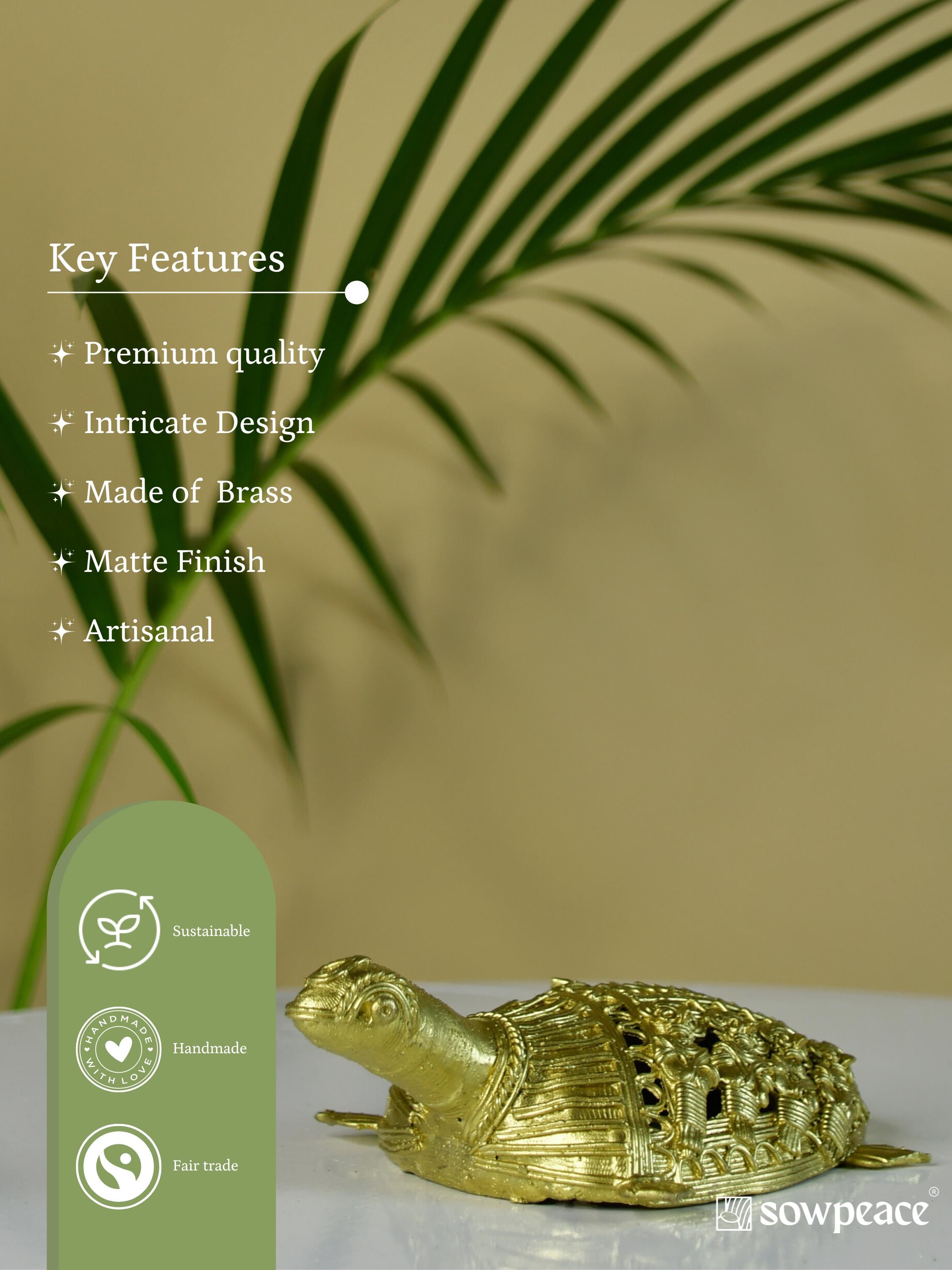 Sowpeace The Goodluck Snapper