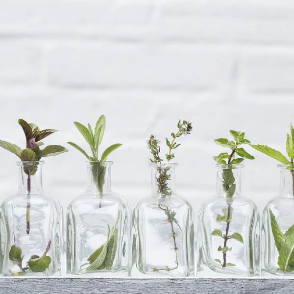 Buy Essential Oils Online