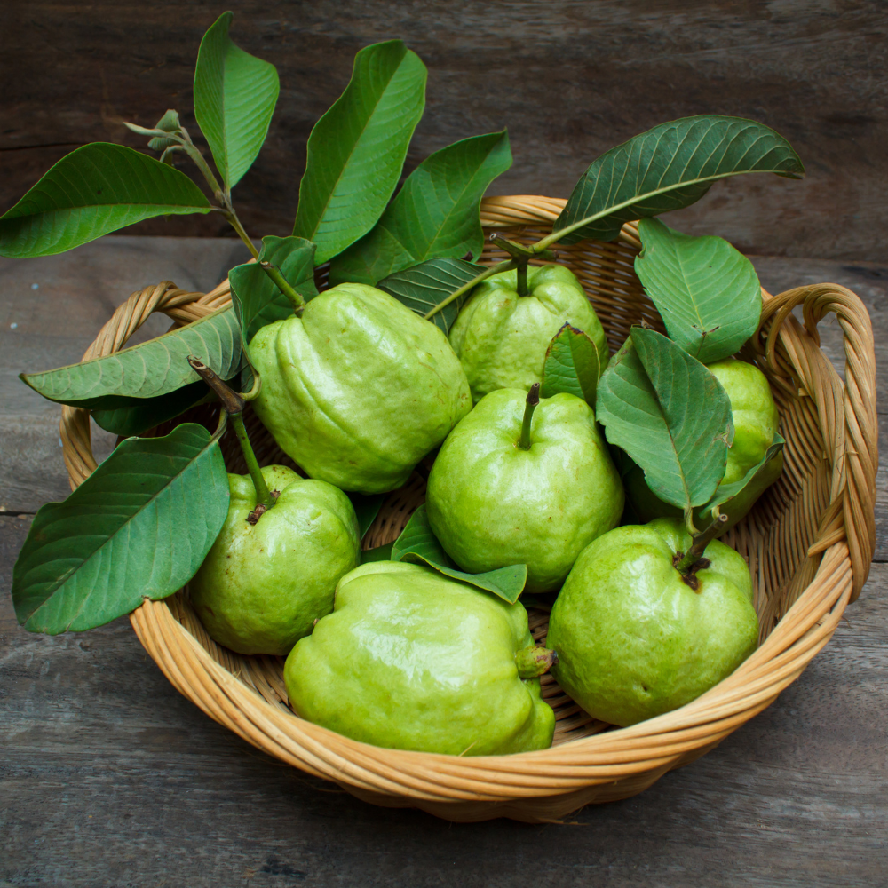 Flavours Avenue Guava Leaves 50g