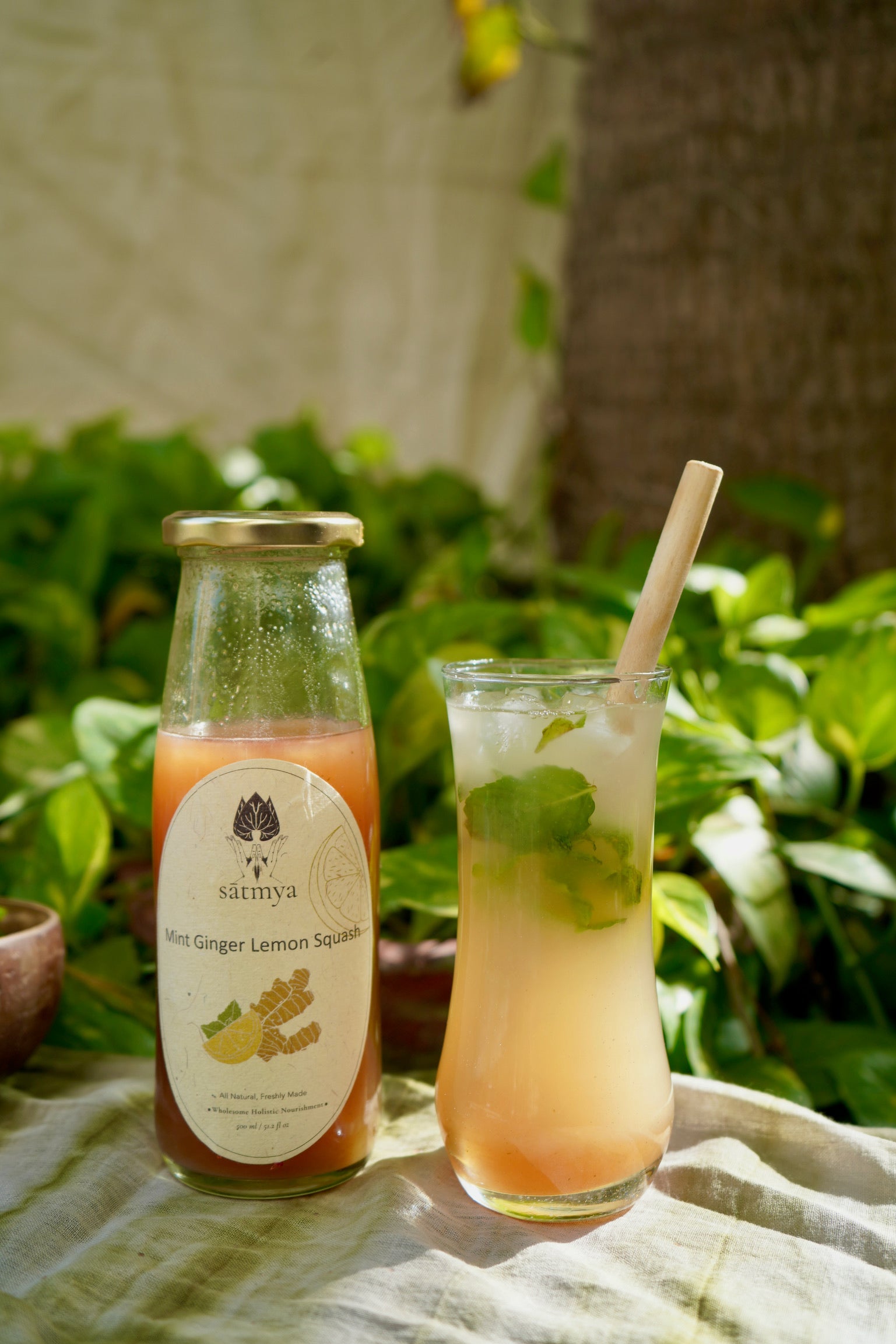 Satmya Mint Ginger Lemon Squash