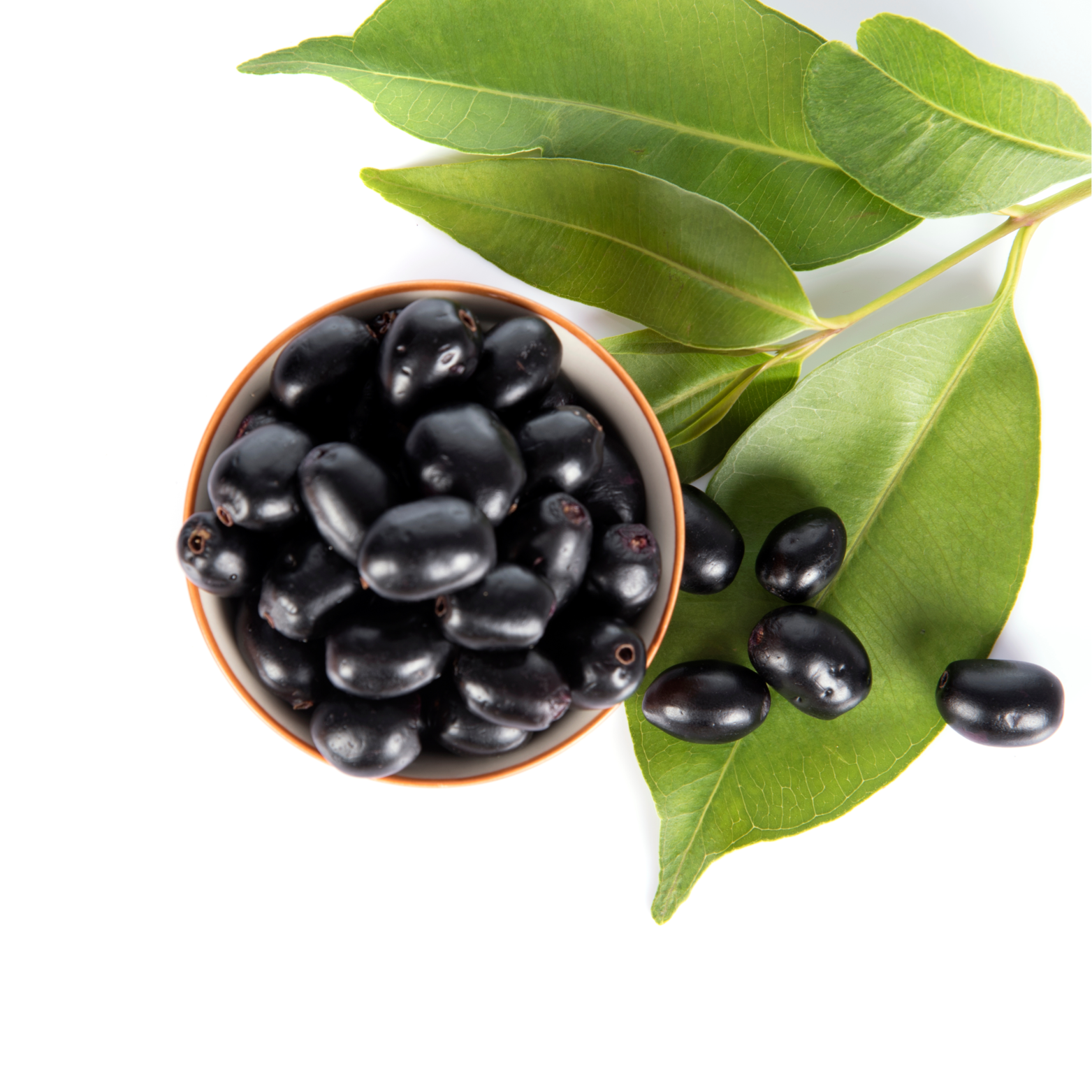 Flavours Avenue Jammun Kala Khata Concentrate 750ml