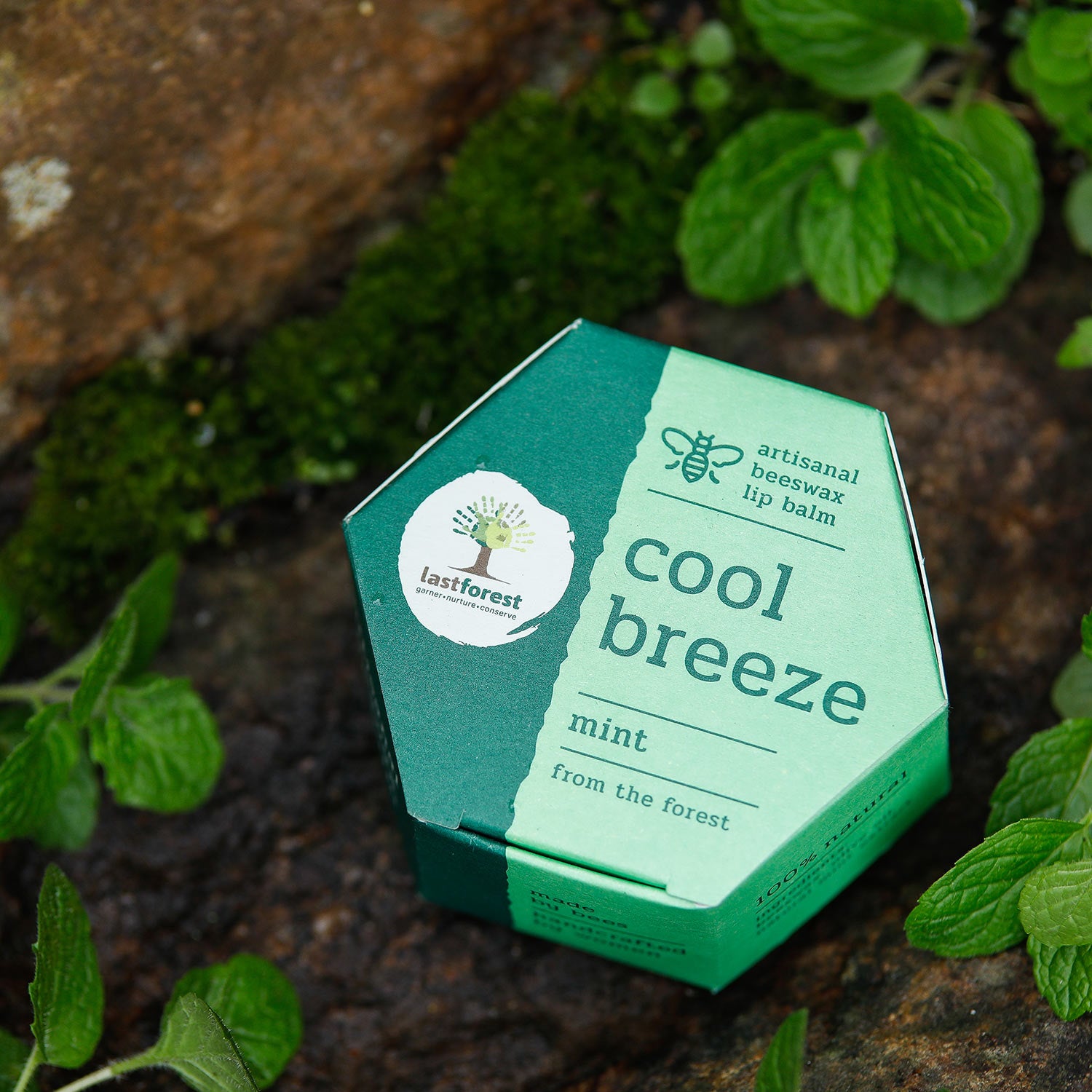 Last Forest Artisanal, Handmade Beeswax Lip Balm Mint