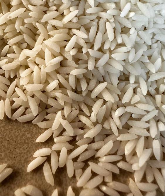 Earth Story Farms Tulaipanji Rice Non-parboiled (Atap) 800 g