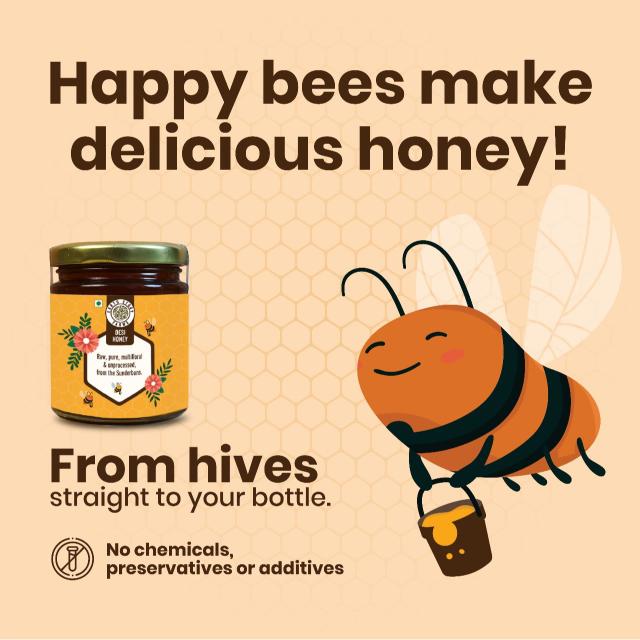 Earth Story Farms Desi Honey 250 g