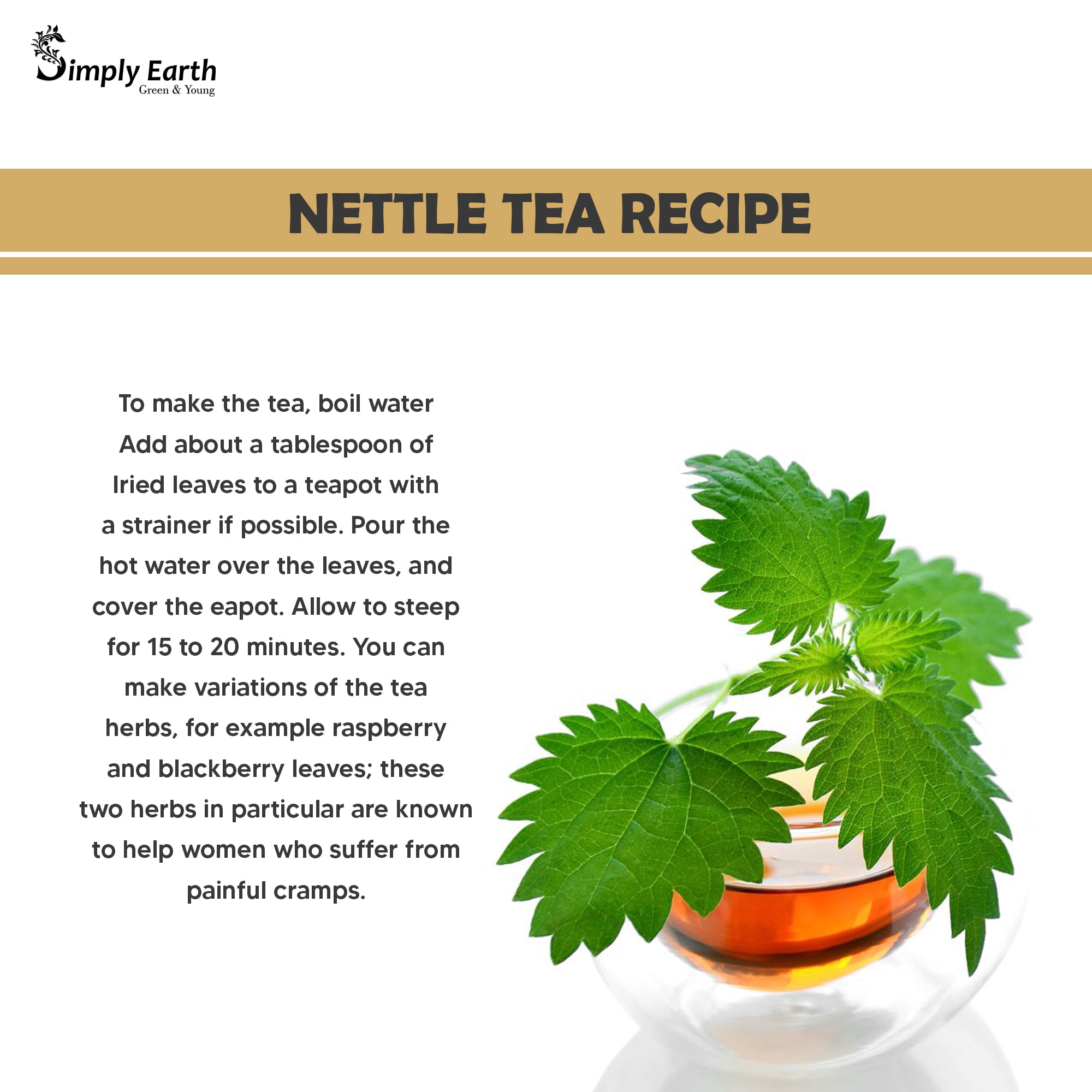 Simply Earth Organic Nettle Dried Leaves powder - 100 GM