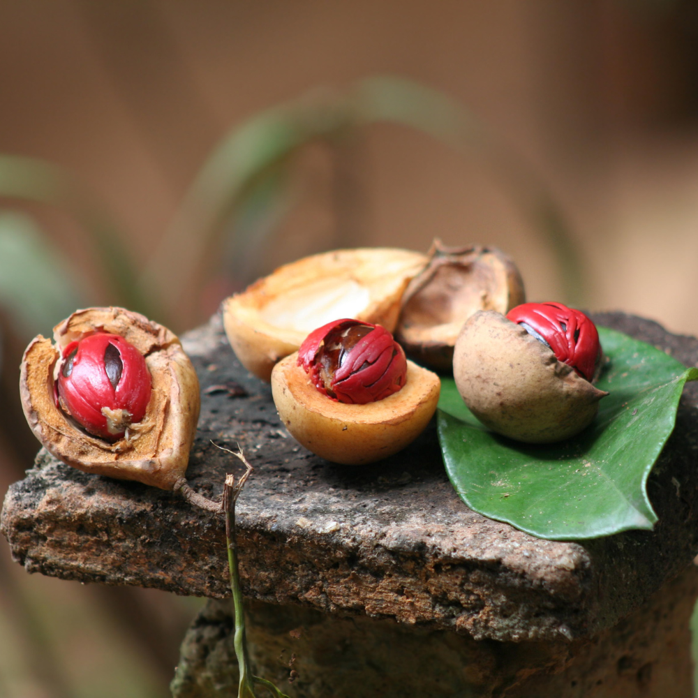 Flavours Avenue Nutmeg Fruit Concentrate 750ml