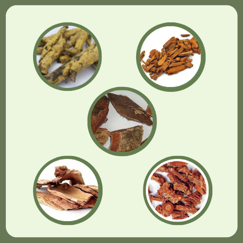 7 Herbs Herbal Tea | Satvi Wellness - Diabetic Wellness Drink