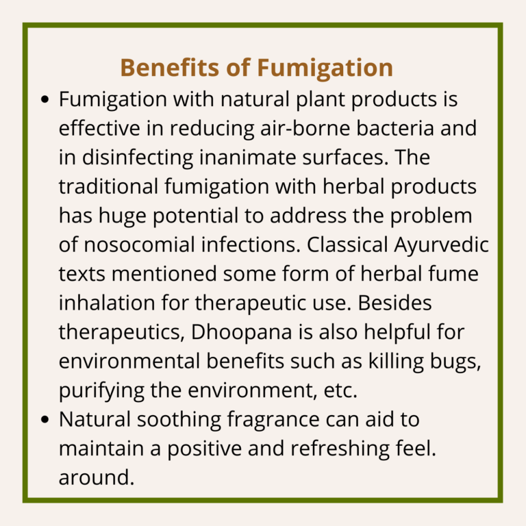 Satvi Wellness - Pavana Air care Incense sticks - Pack of 2