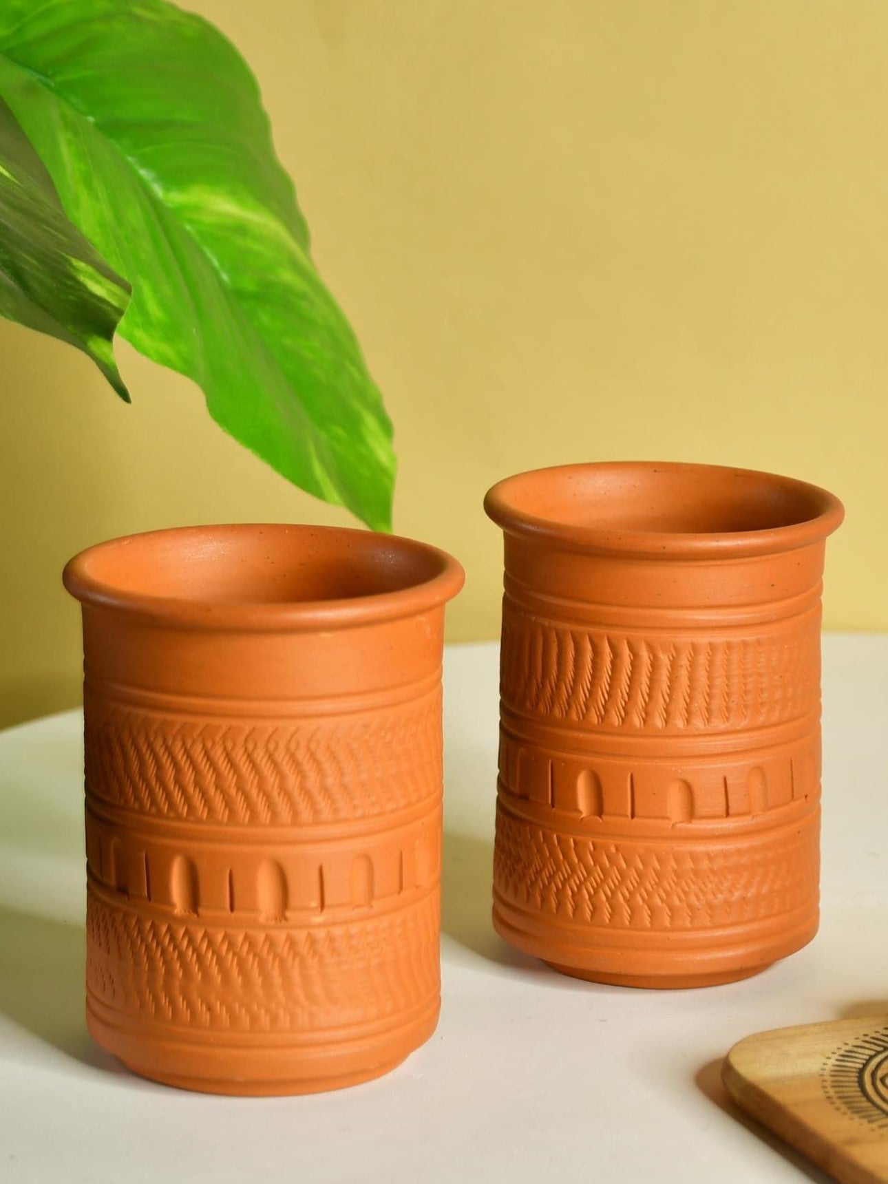Sowpeace Premium Set of 2 Unglazed Terracotta tumbler