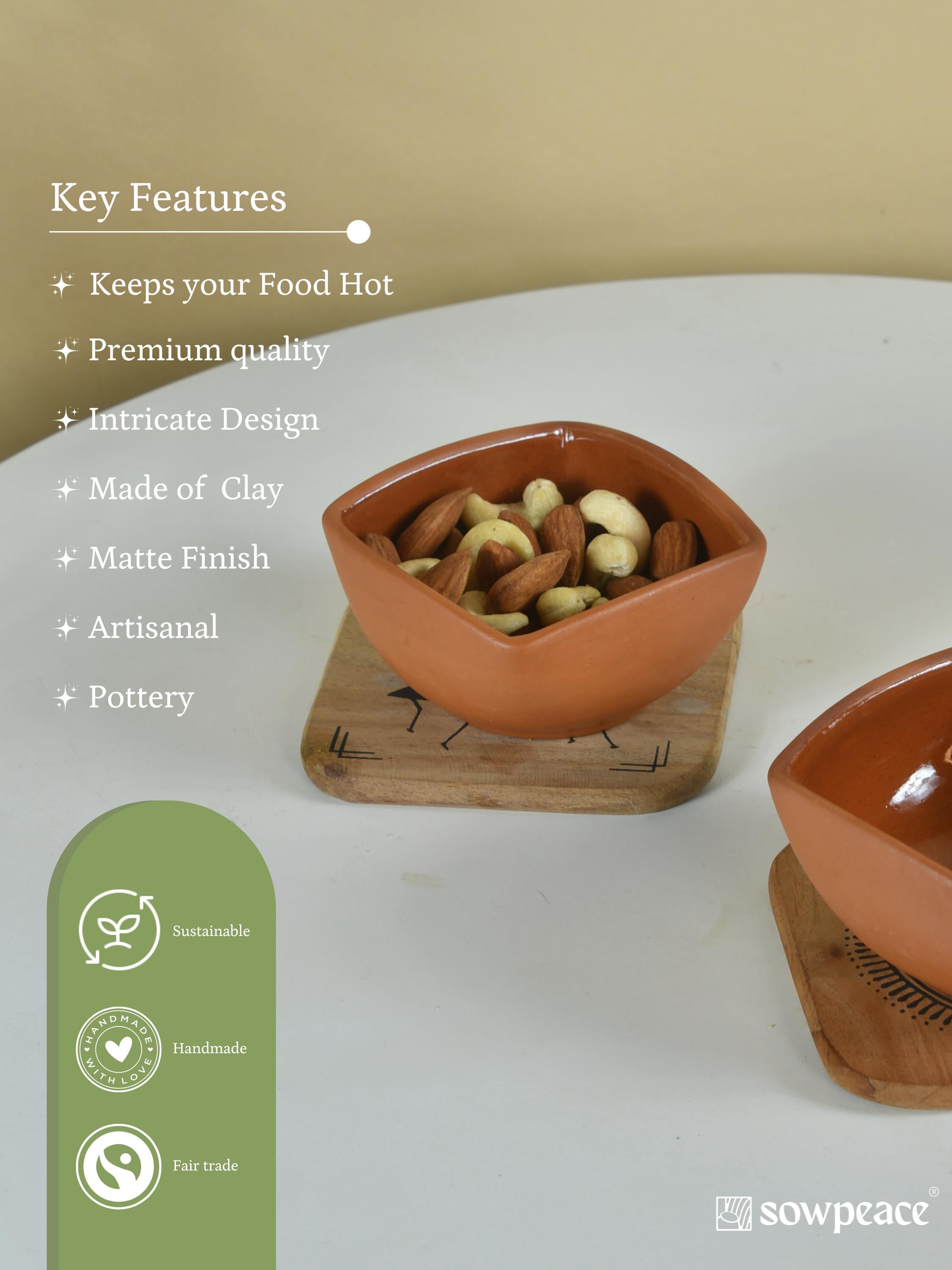 Sowpeace Premium Set of 2 Terracotta Square Serving Bowls