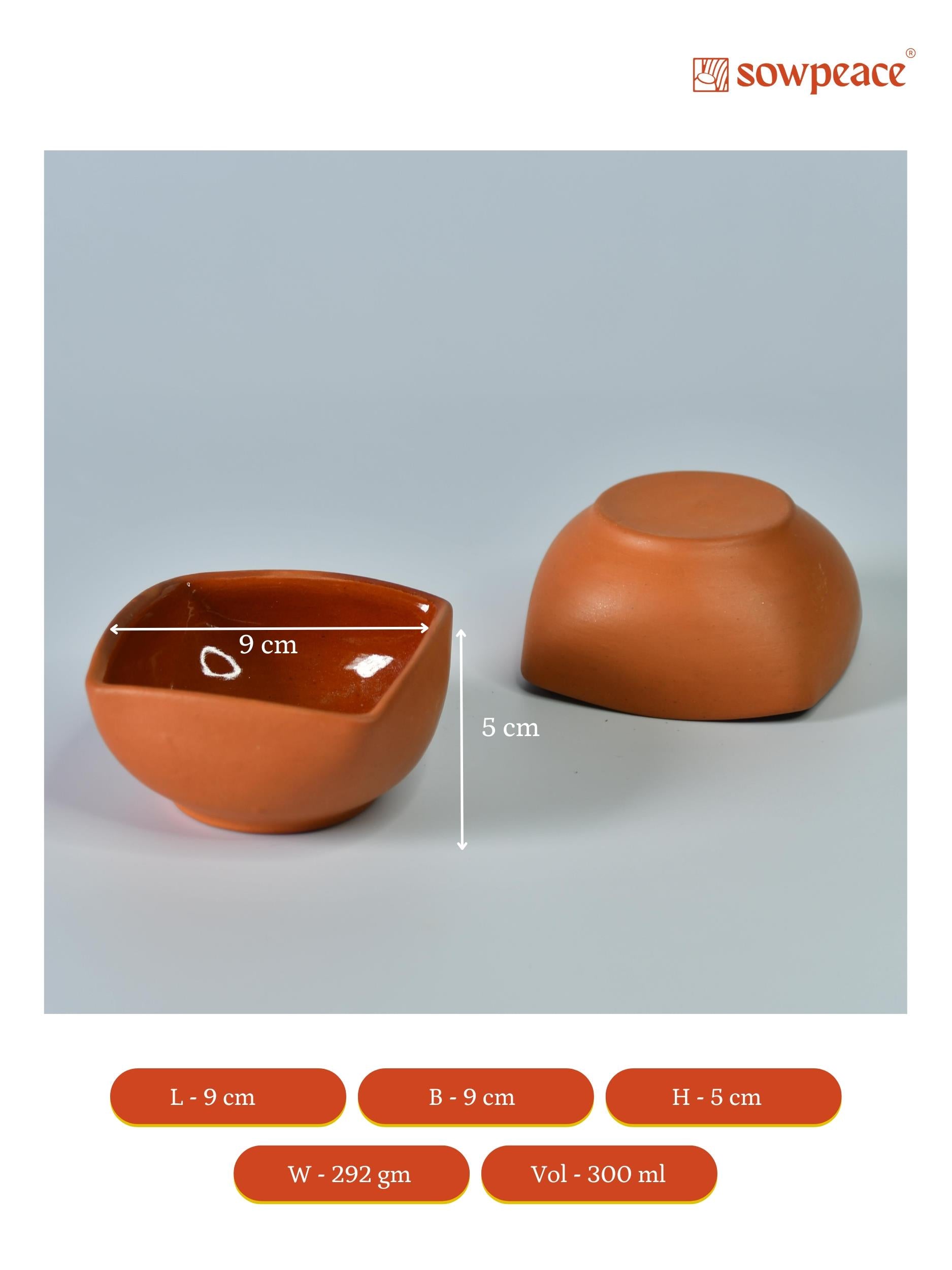 Sowpeace Premium Set of 2 Terracotta Square Serving Bowls