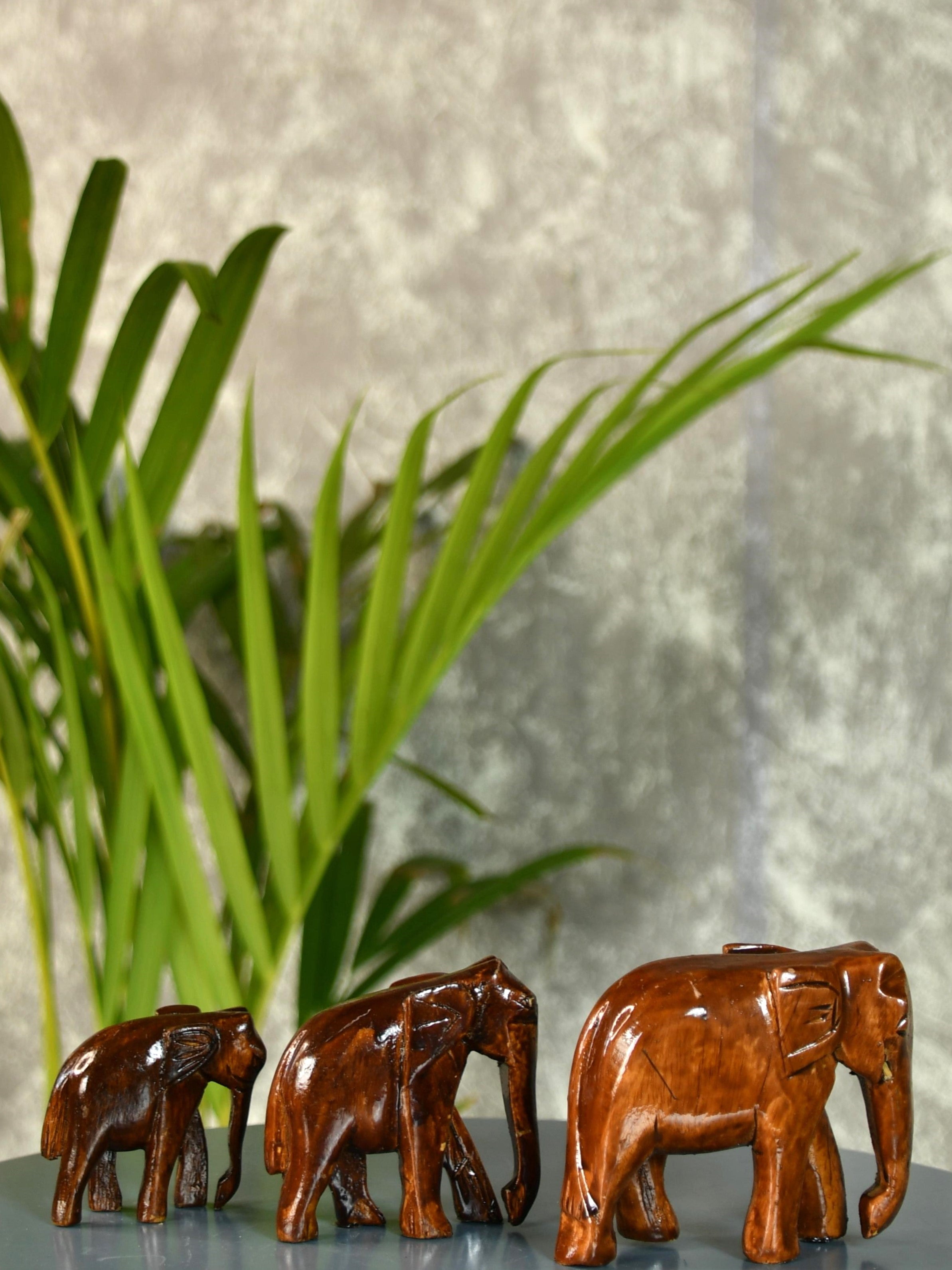 Sowpeace Rolling the trump