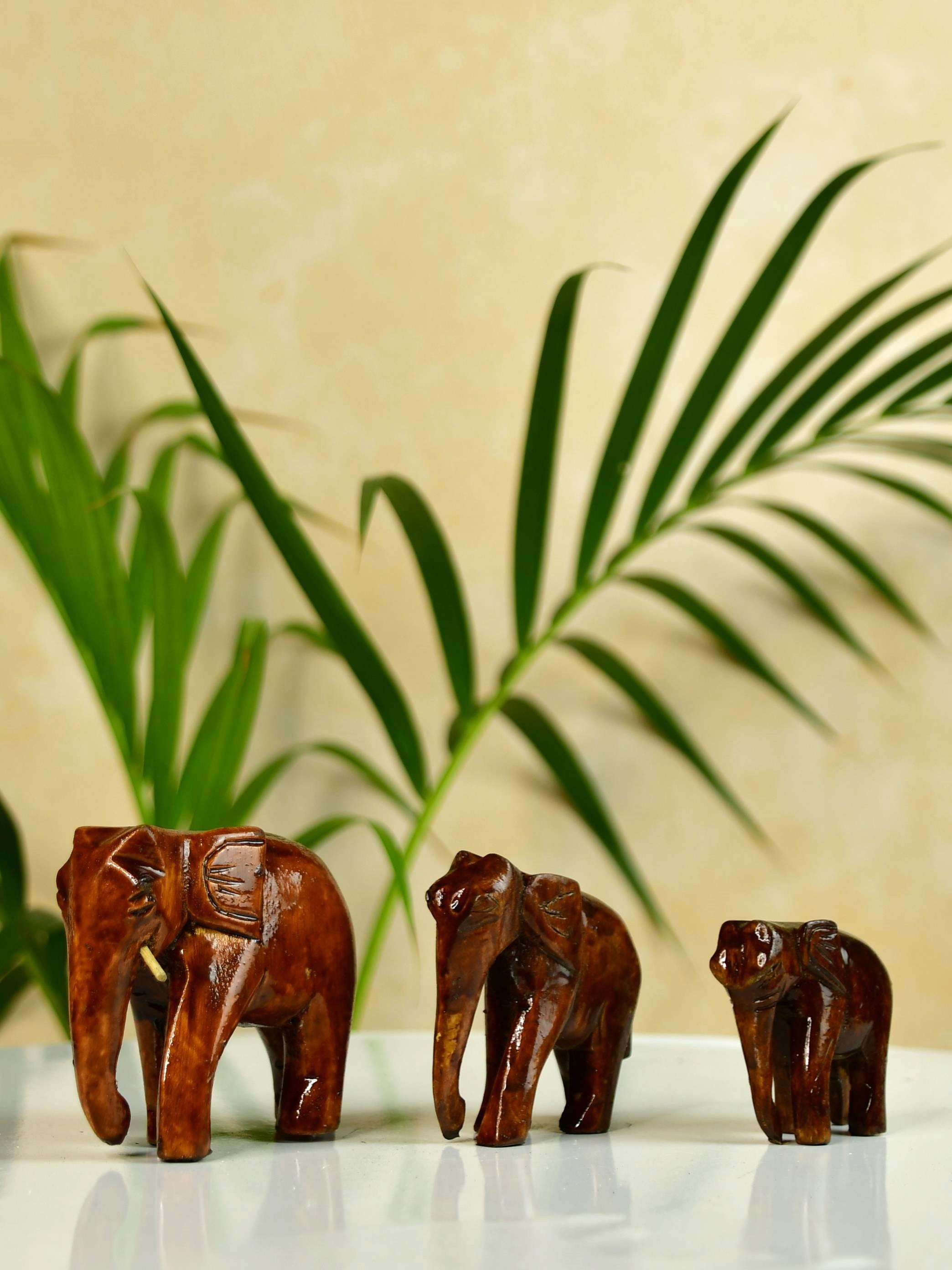 Sowpeace Rolling the trump