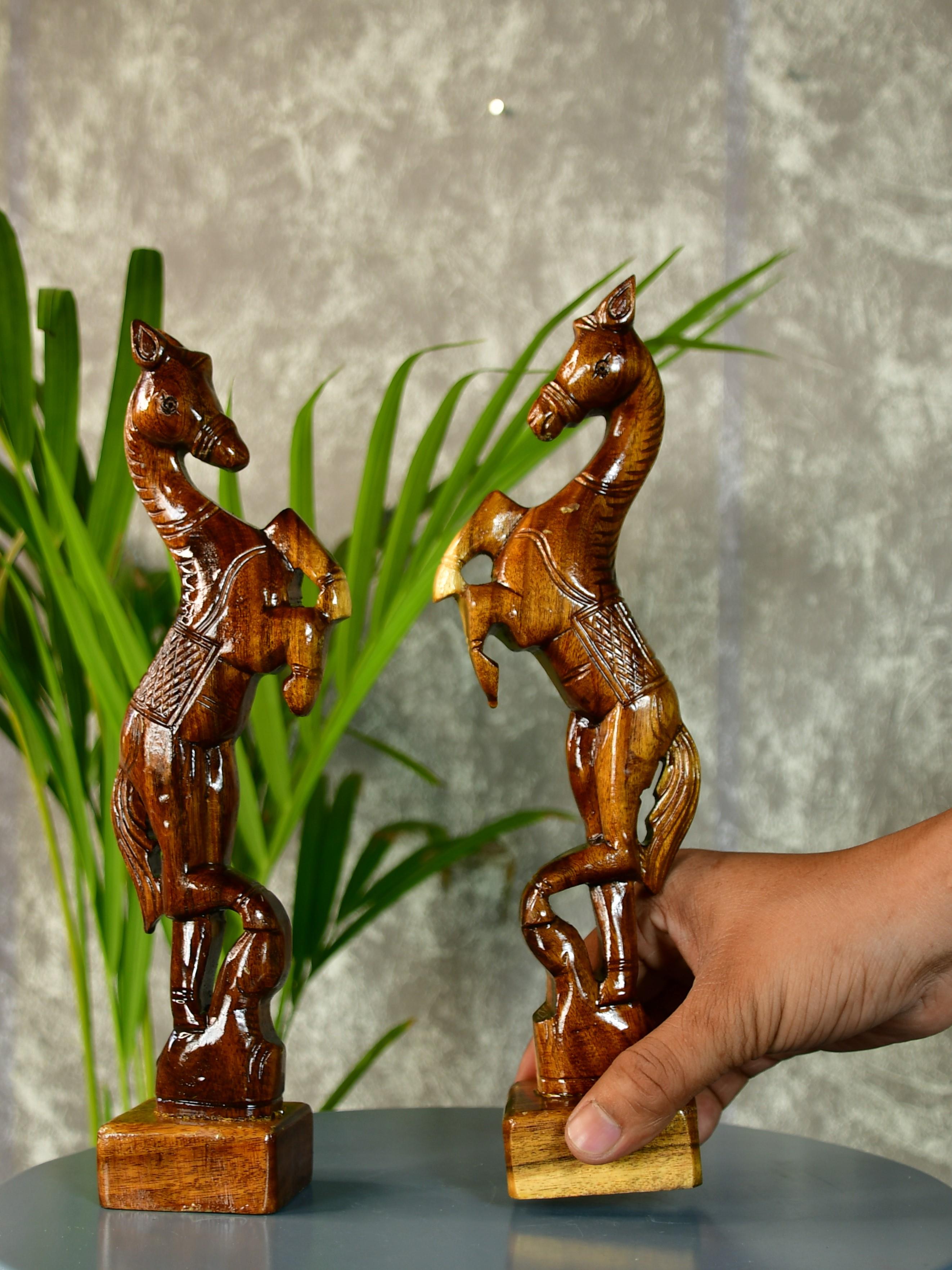 Sowpeace Free-spirited rider