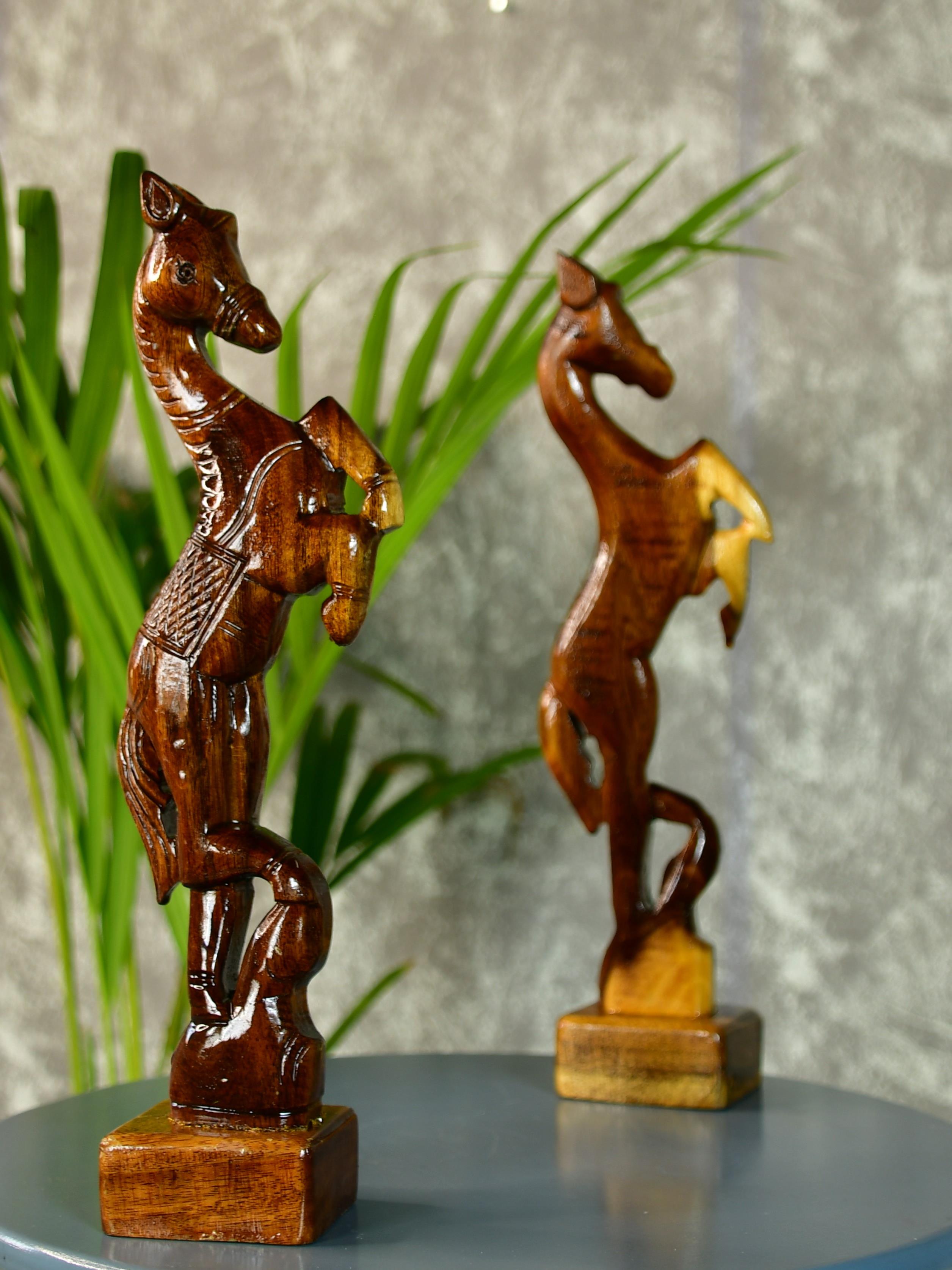 Sowpeace Free-spirited rider