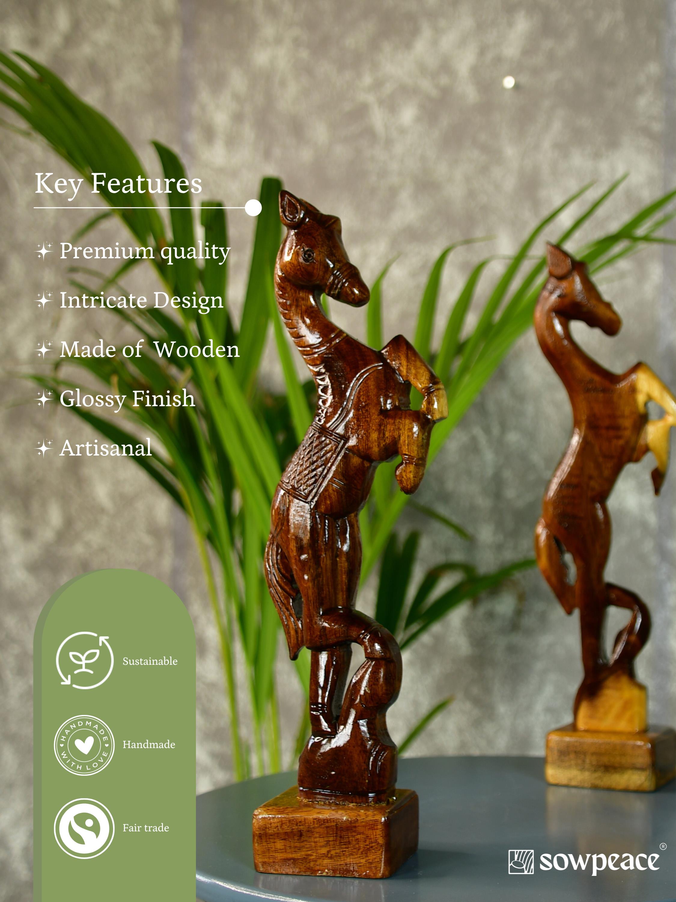 Sowpeace Free-spirited rider