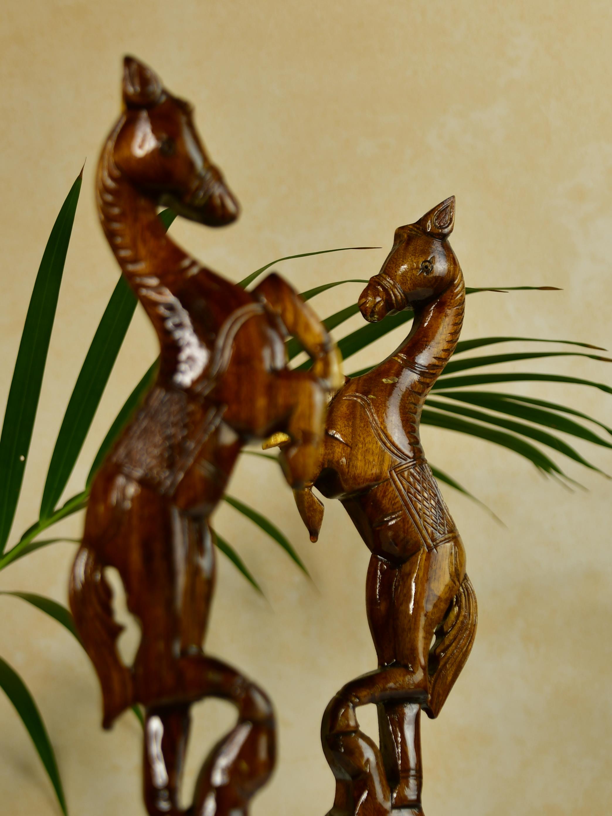 Sowpeace Free-spirited rider