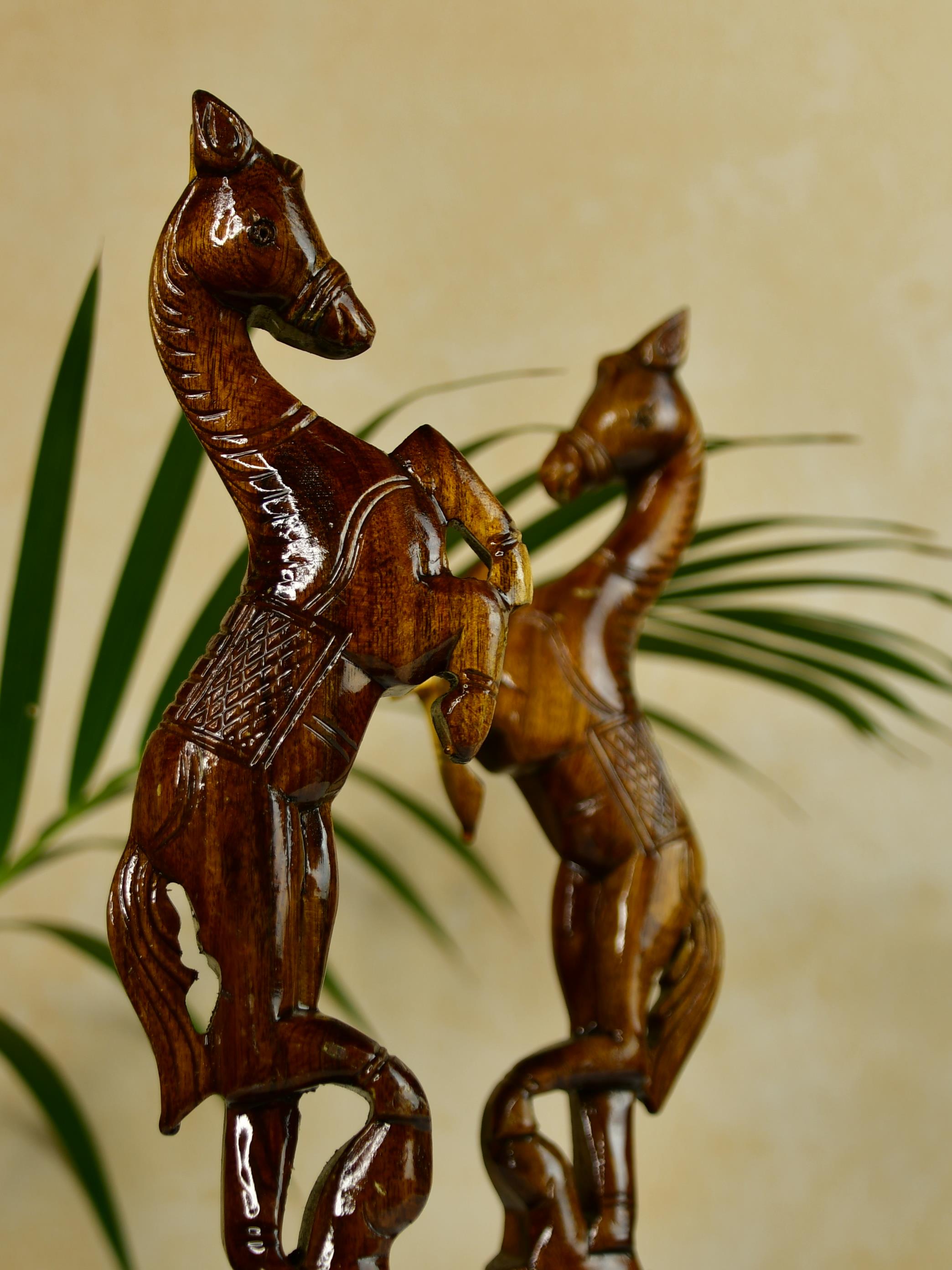 Sowpeace Free-spirited rider