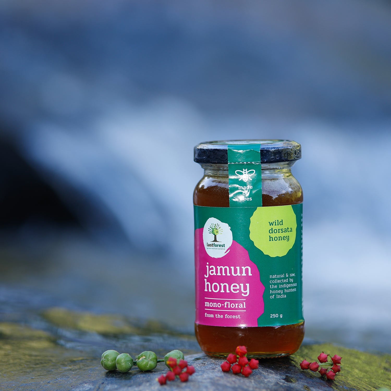 Last Forest Jamun Wild Honey