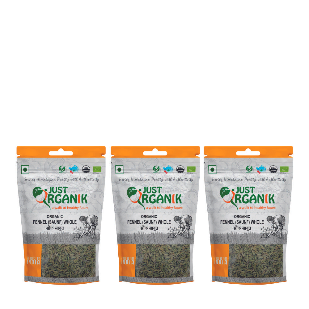 Just Organik Organic Fennel (Saunf) Whole 300g (pack of 3, 3x100g)